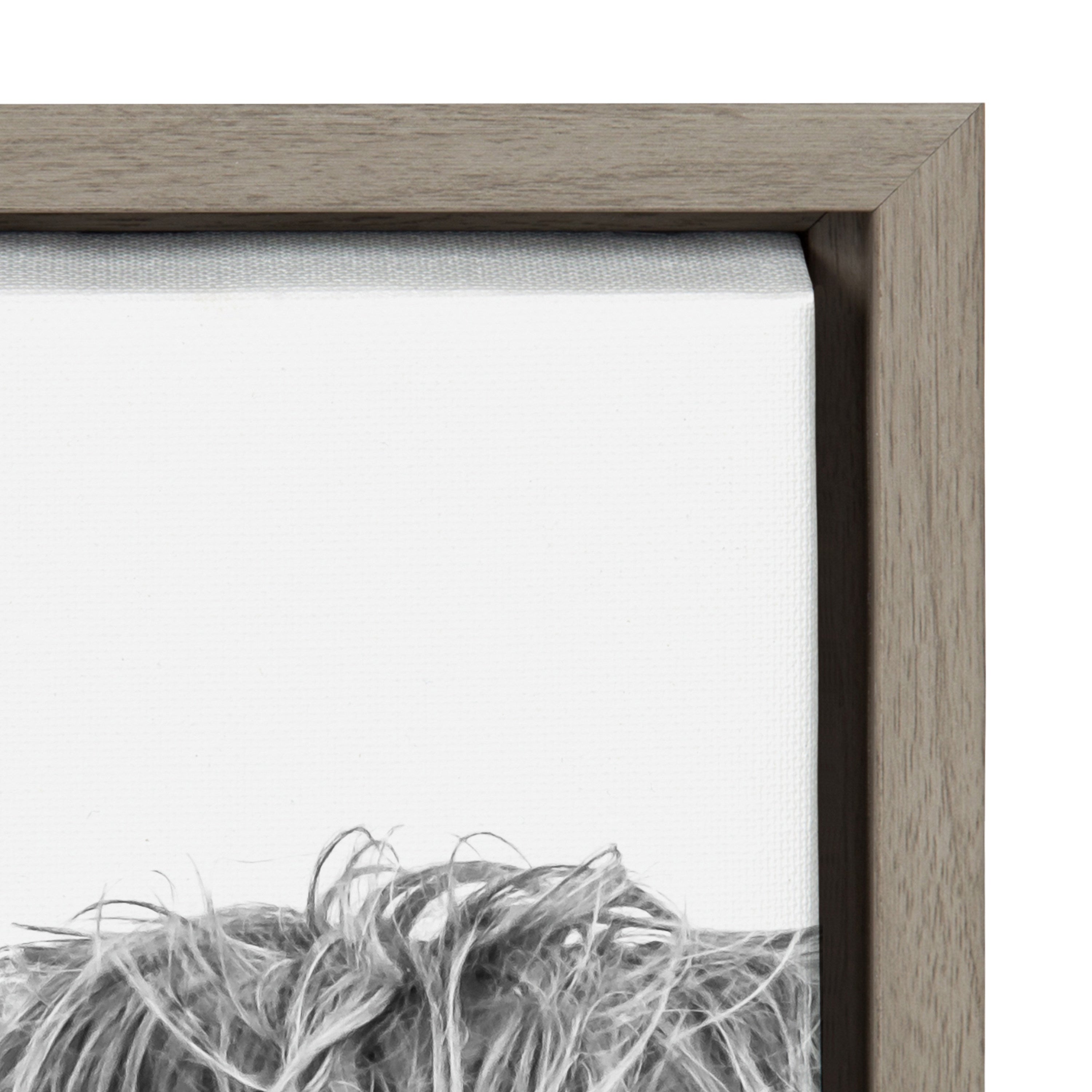 Sylvie B&W Highland Cow No. 1 Framed Canvas by Amy Peterson Art Studio