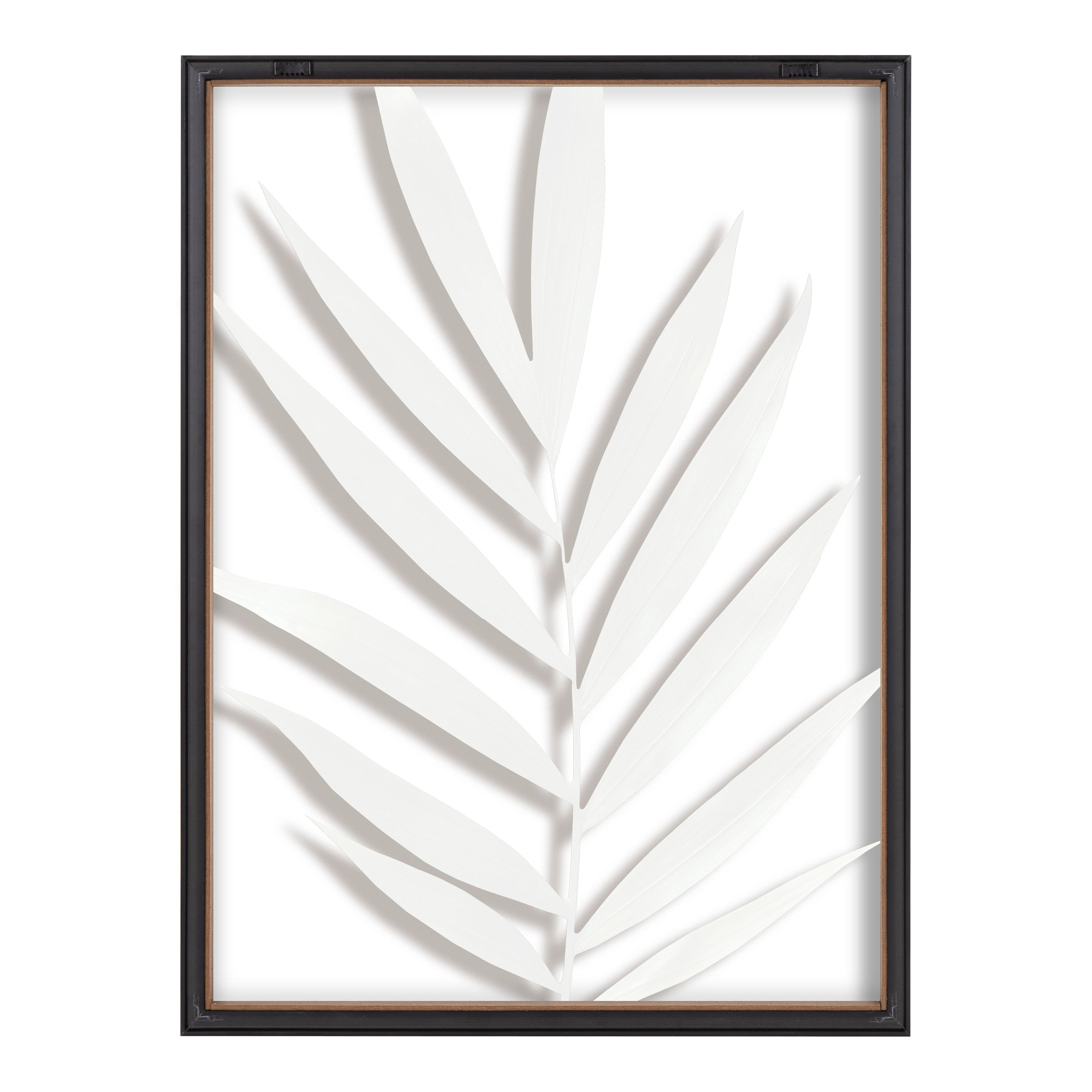 Blake Botanical 5F Framed Printed Glass by Amy Peterson by kateandlaurel - product image 6 for Resin Society