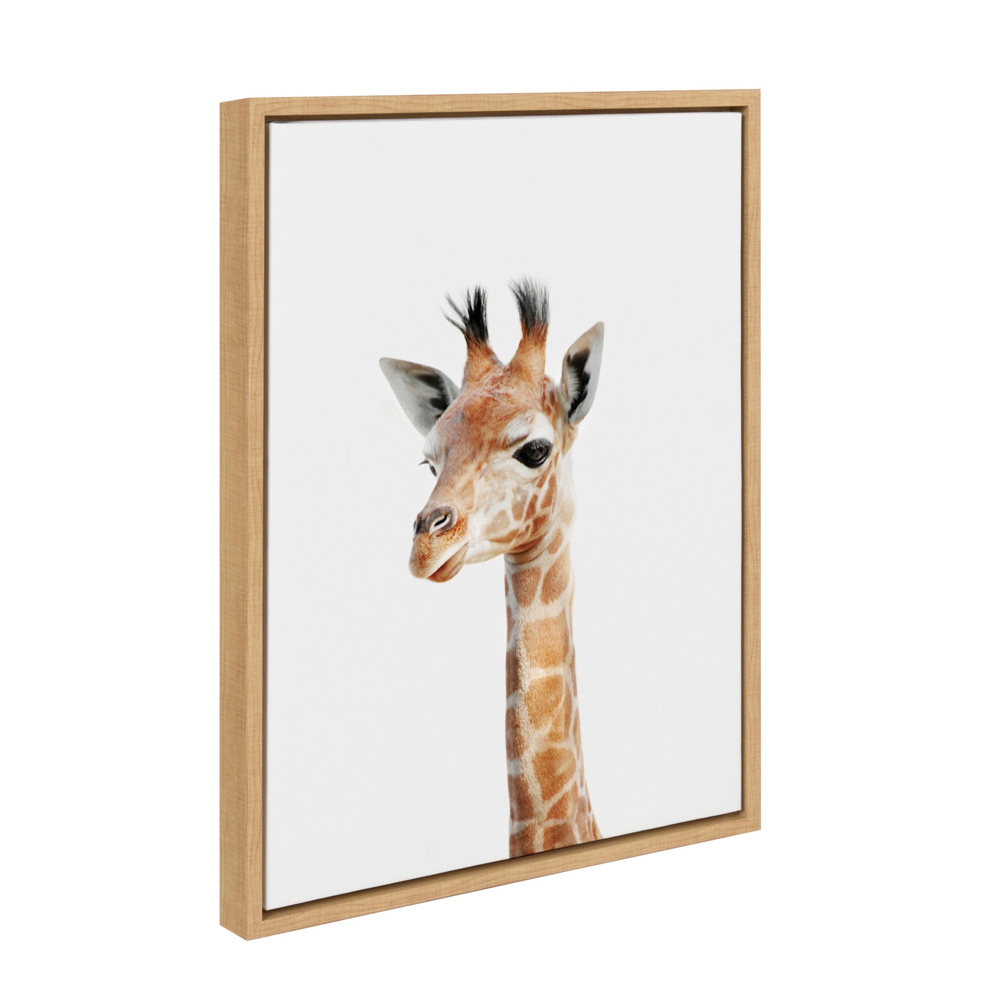 Sylvie Baby Giraffe Framed Canvas by Amy Peterson by kateandlaurel - product image 2 for Resin Society
