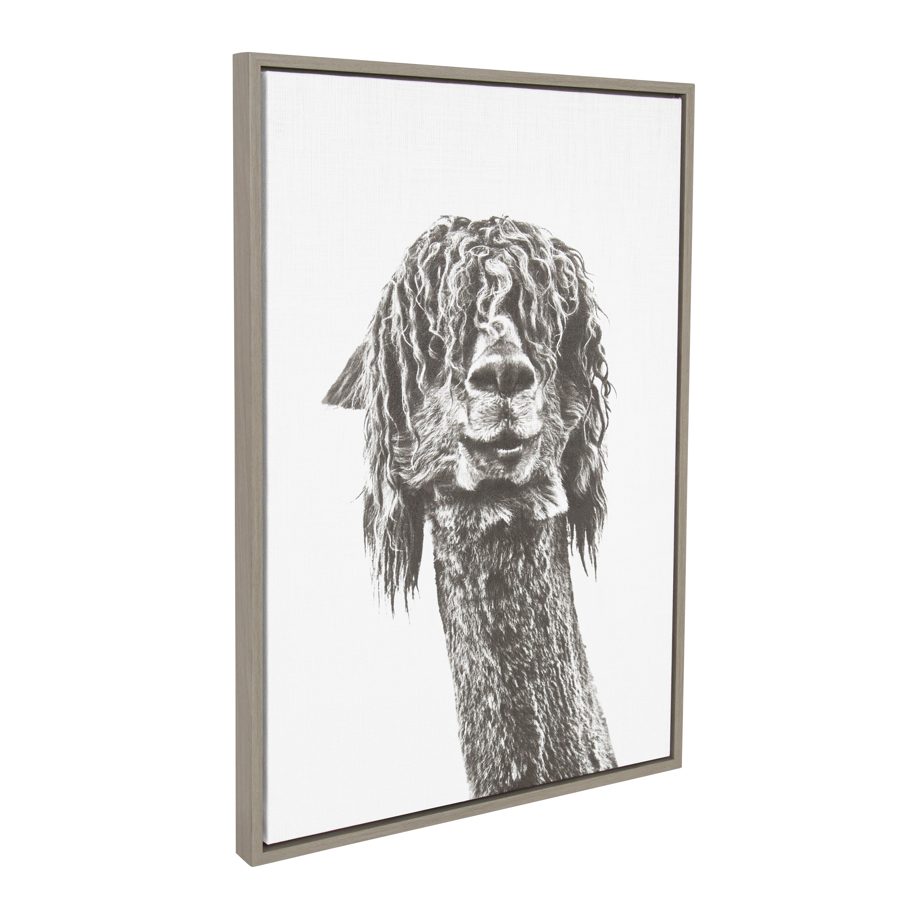 Sylvie Curly Hair Alpaca Framed Canvas by Simon Te Tai by kateandlaurel - product image 2 for Resin Society