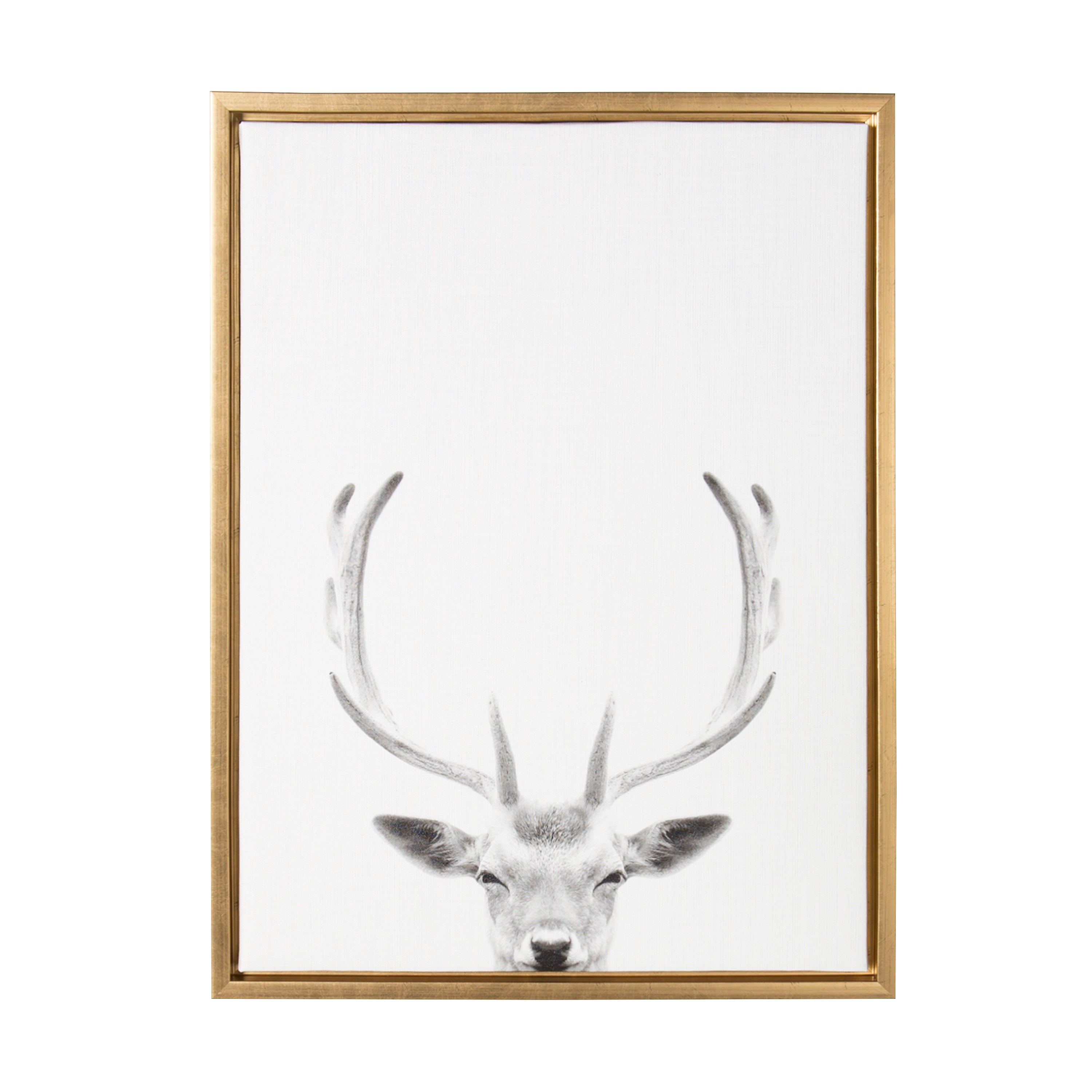 Sylvie Deer Portrait Framed Canvas by Simon Te Tai by kateandlaurel - product image 9 for Resin Society