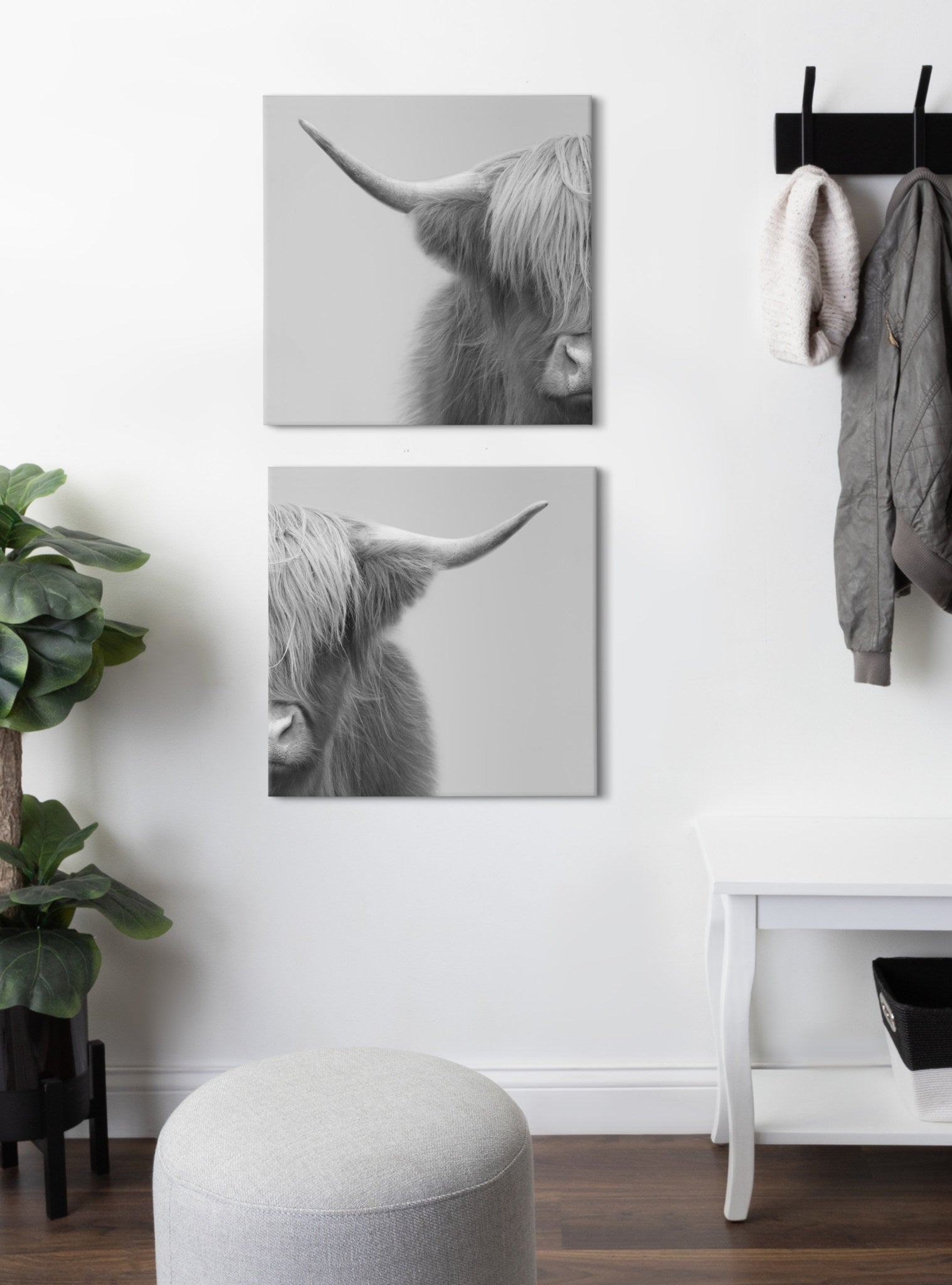 Hey Dude Highland Cow Gray Canvas by The Creative Bunch Studio by kateandlaurel - product image 8 for Resin Society