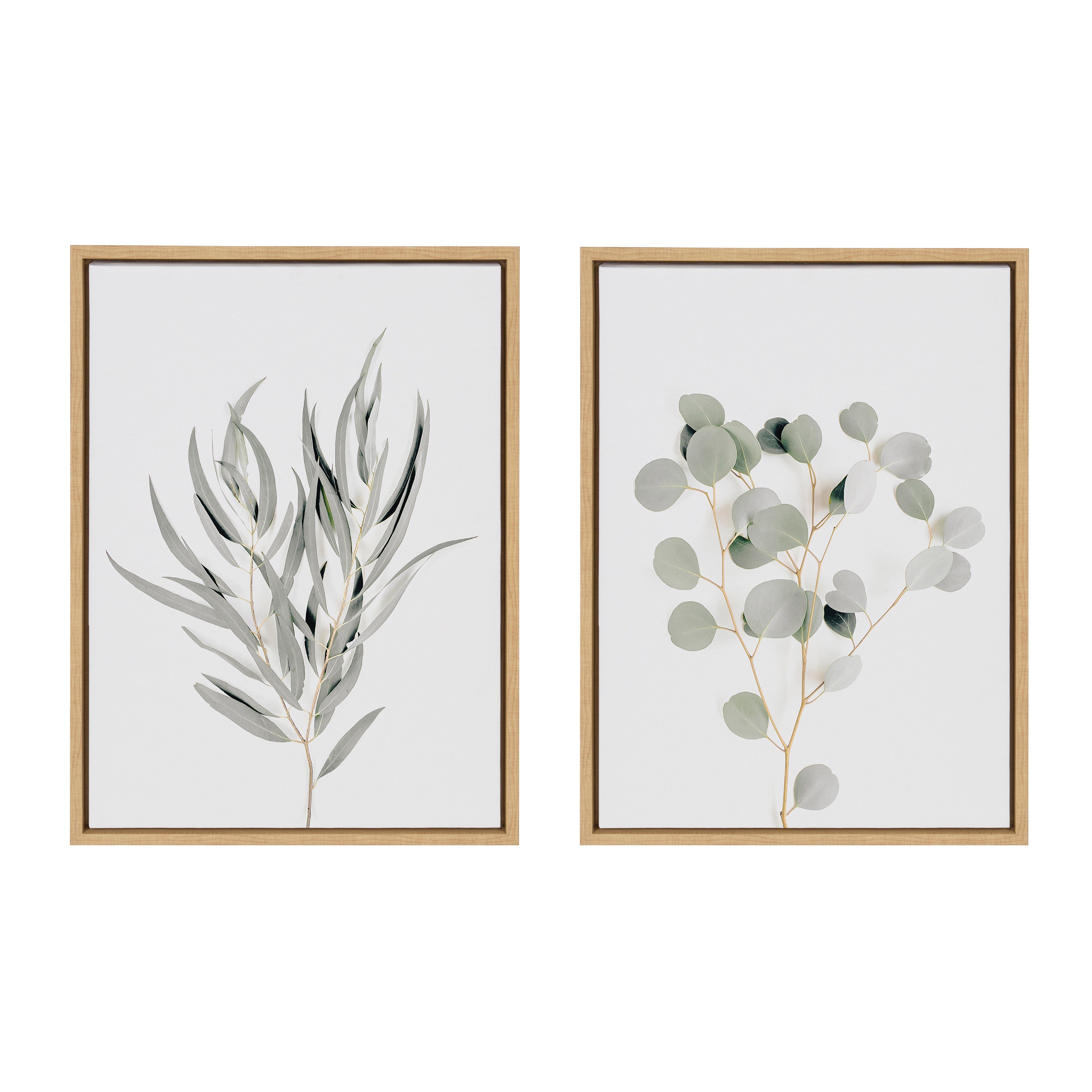 Sylvie Neutral Botanical 1 and 2 Framed Canvas Set by The Creative by kateandlaurel - main product image for Resin Society