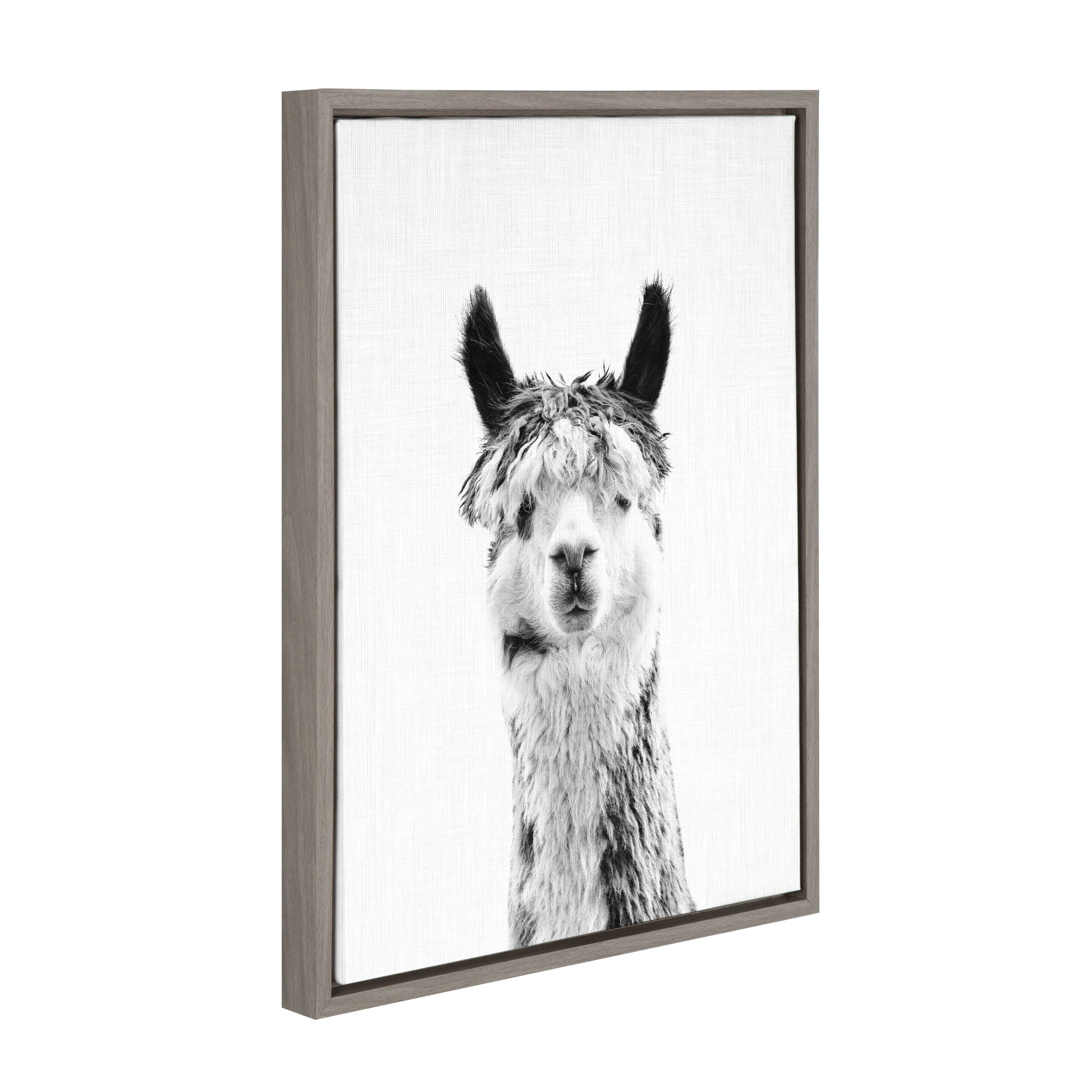Sylvie Llama Framed Canvas by Simon Te Tai by kateandlaurel - product image 2 for Resin Society