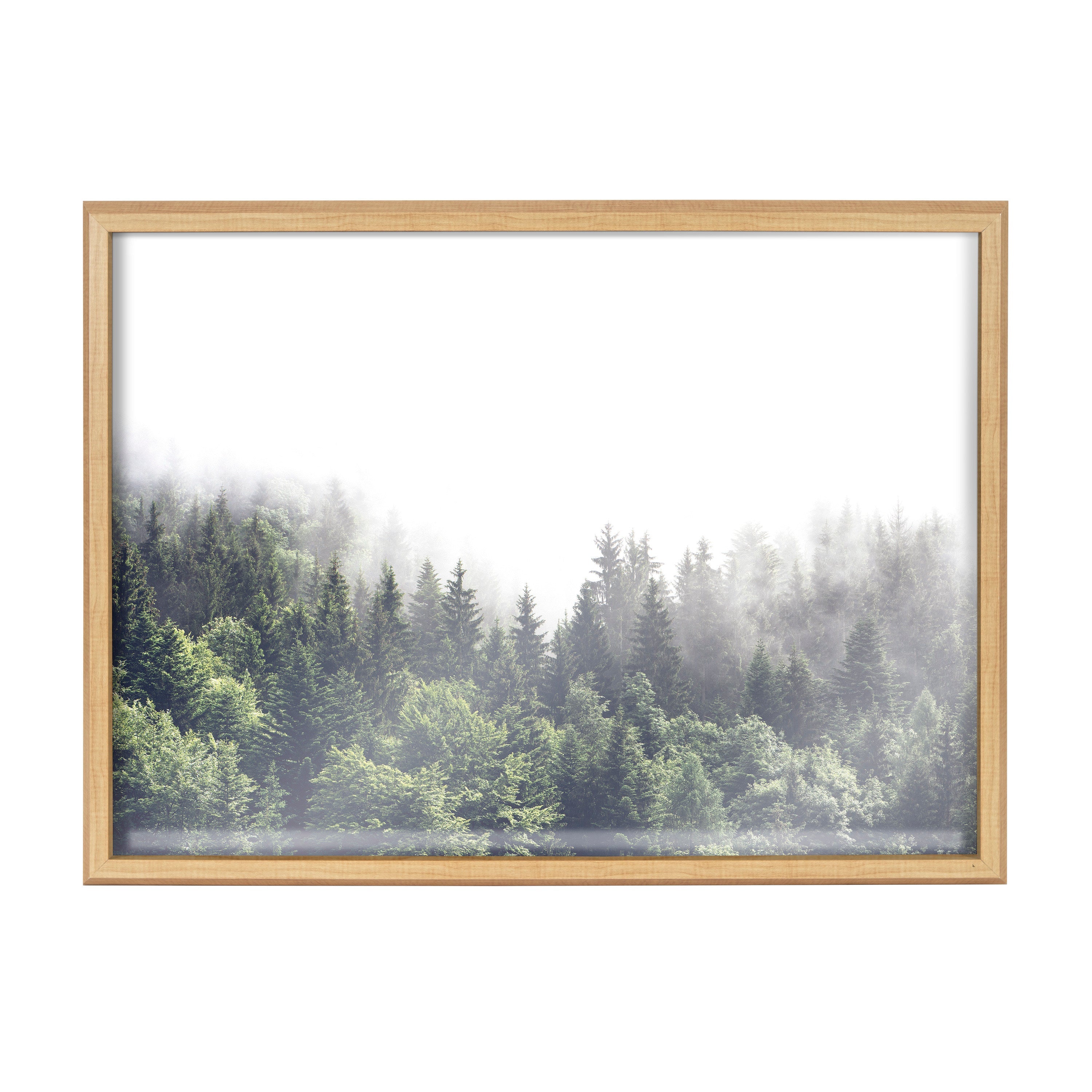 Blake Lush Green Forest on a Foggy Day Framed Printed Glass by The by kateandlaurel - product image 2 for Resin Society