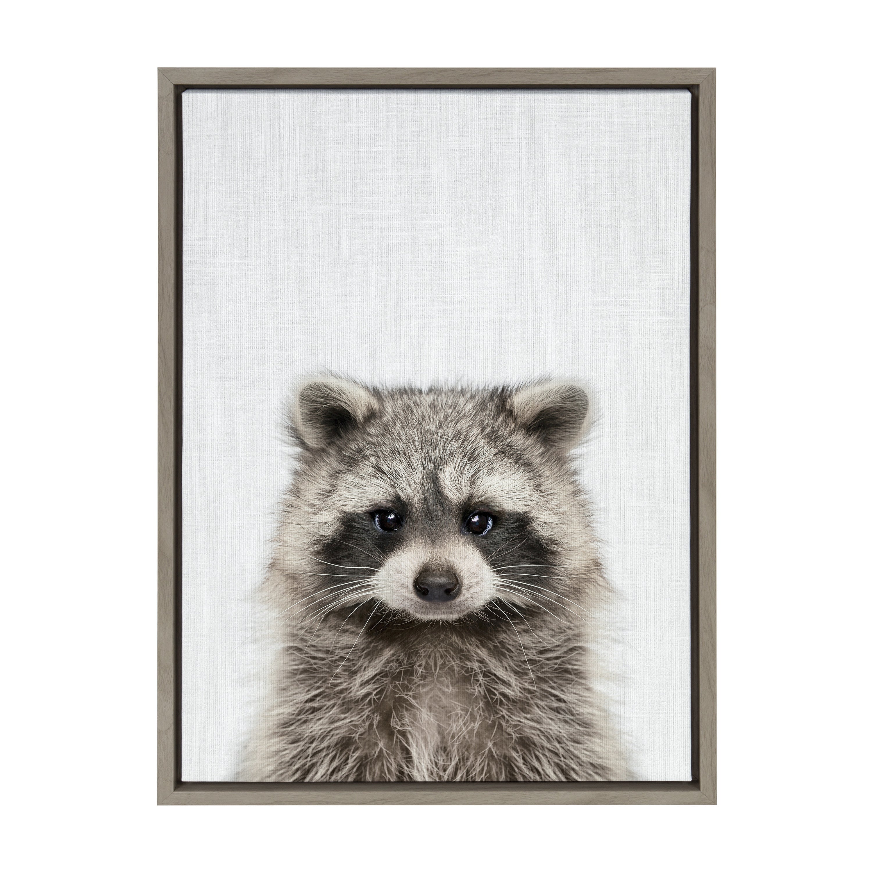 Sylvie Raccoon Color Framed Canvas by kateandlaurel - product image 8 for Resin Society