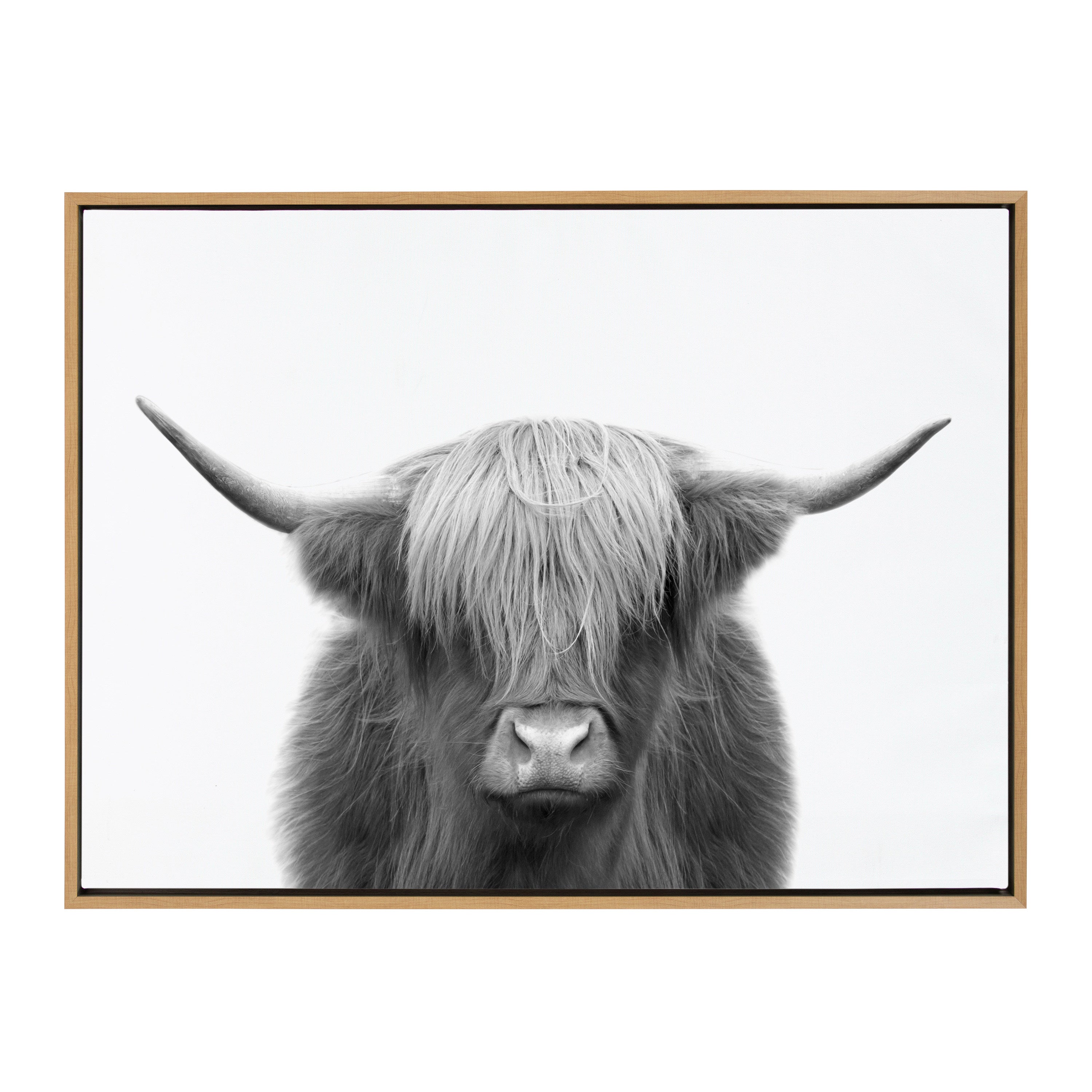Sylvie Hey Dude Highland Cow BW Framed Canvas by The Creative Bunch Studio