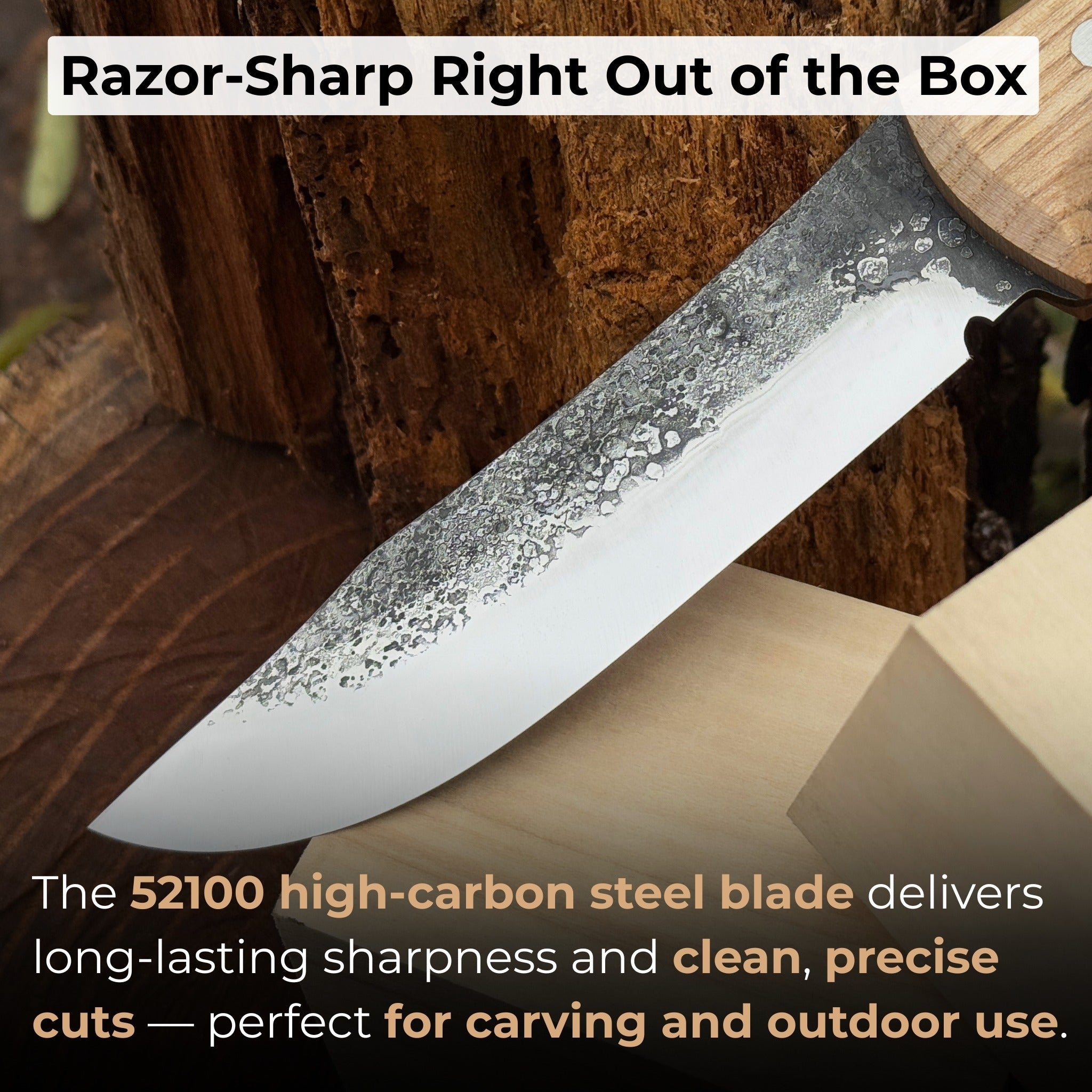 Hand-forged bushcraft knife with 12 cm carbon steel blade and ash wood handle by Sharky Forged Steel Tools
