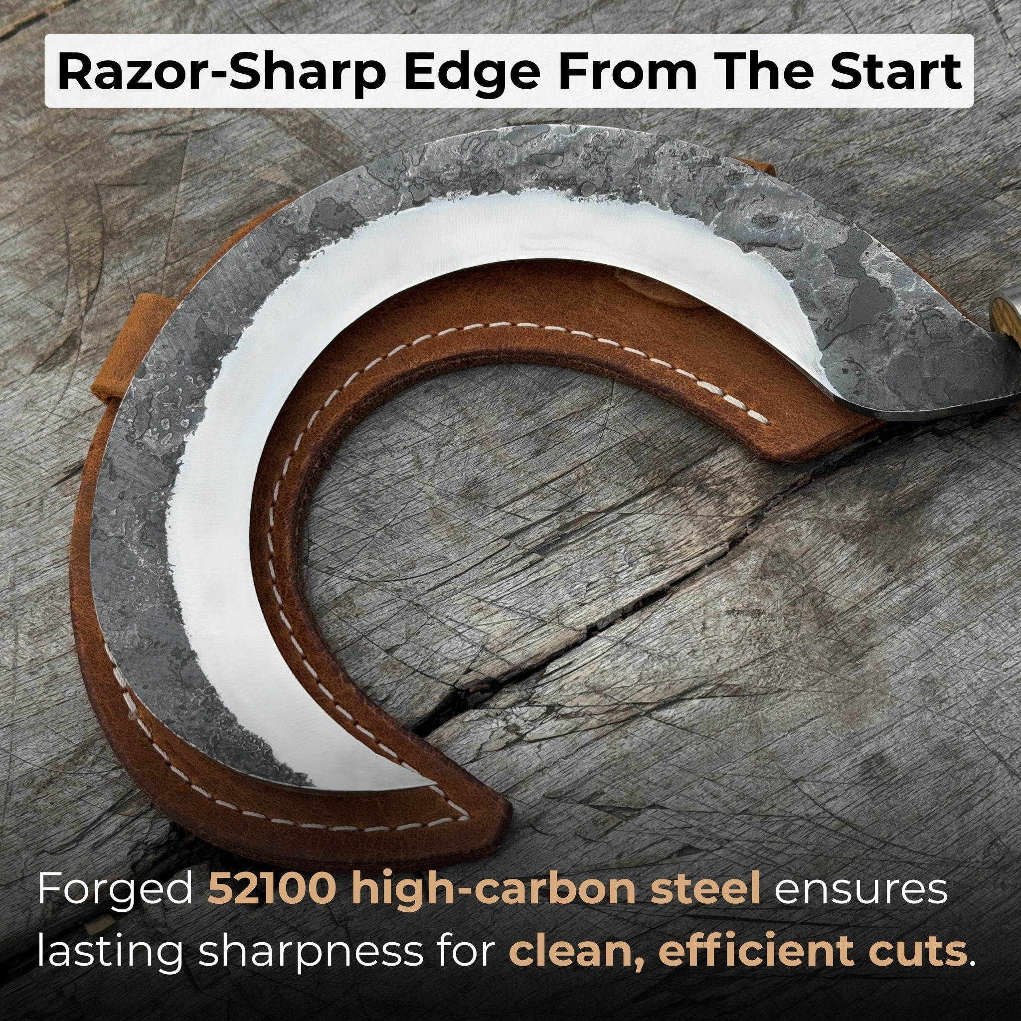 Hand-forged small sickle with 9 cm carbon steel blade and ash wood handle