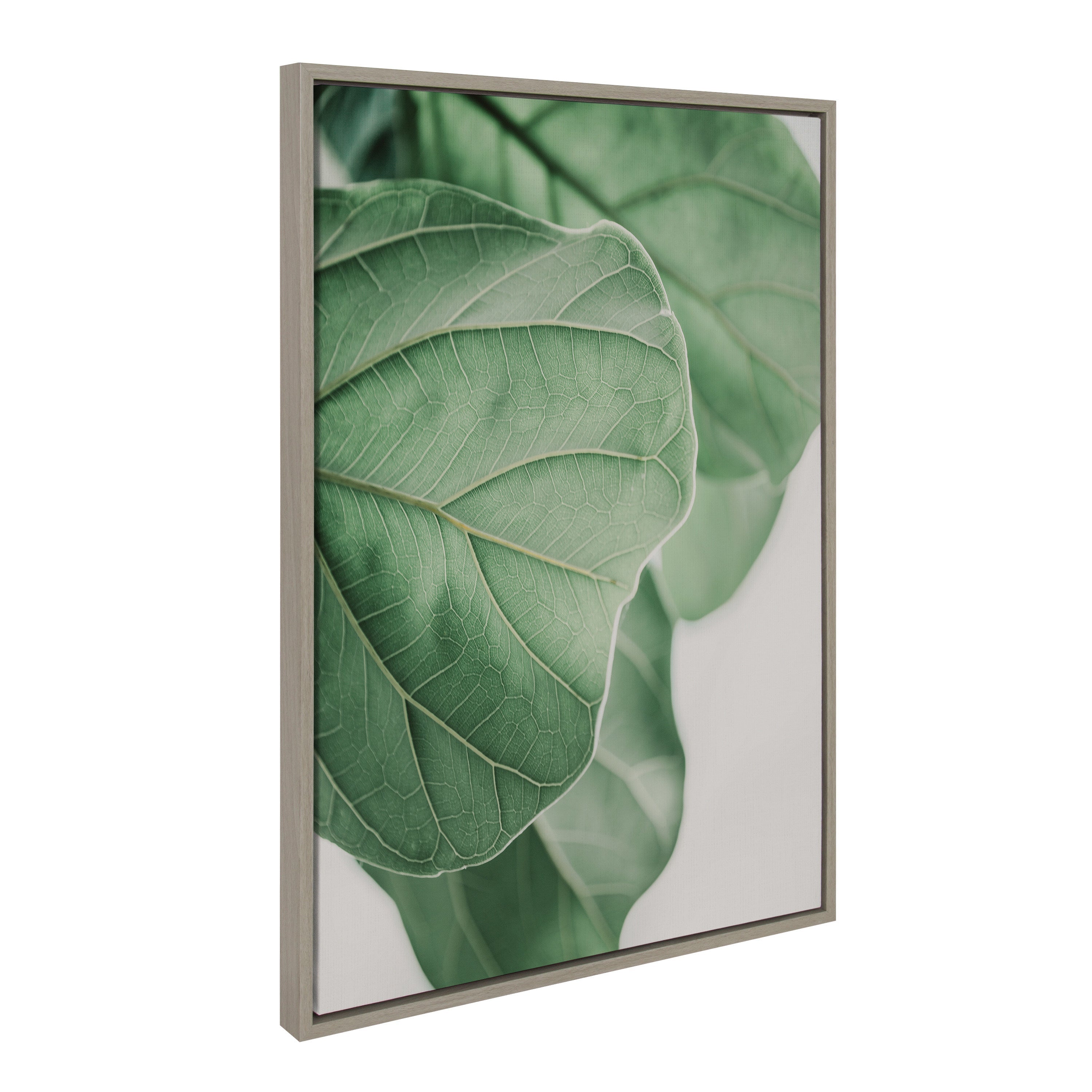 Sylvie Plant Study 6 Framed Canvas by kateandlaurel - product image 10 for Resin Society