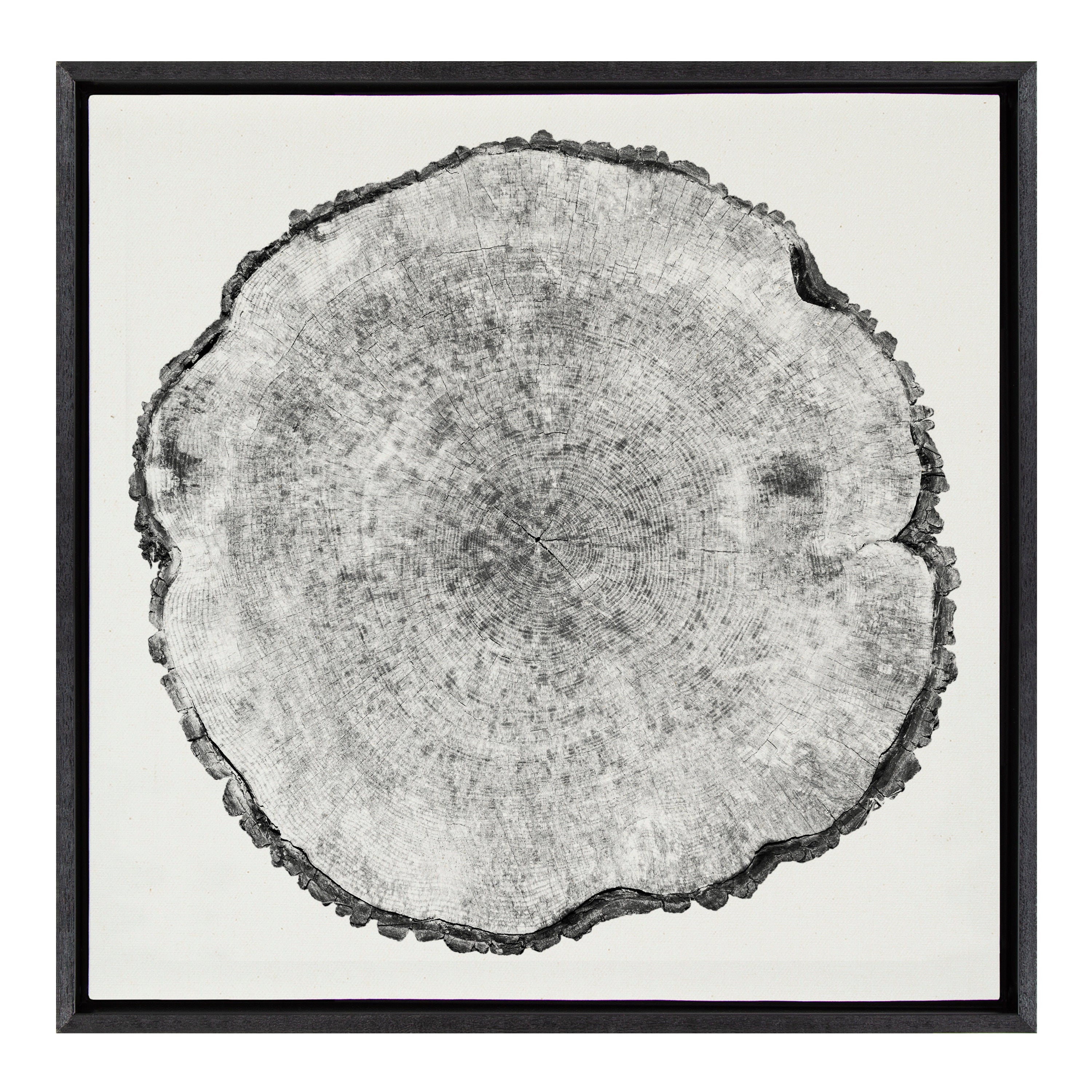 Sylvie Tree Rings Linen Framed Canvas by kateandlaurel - product image 8 for Resin Society