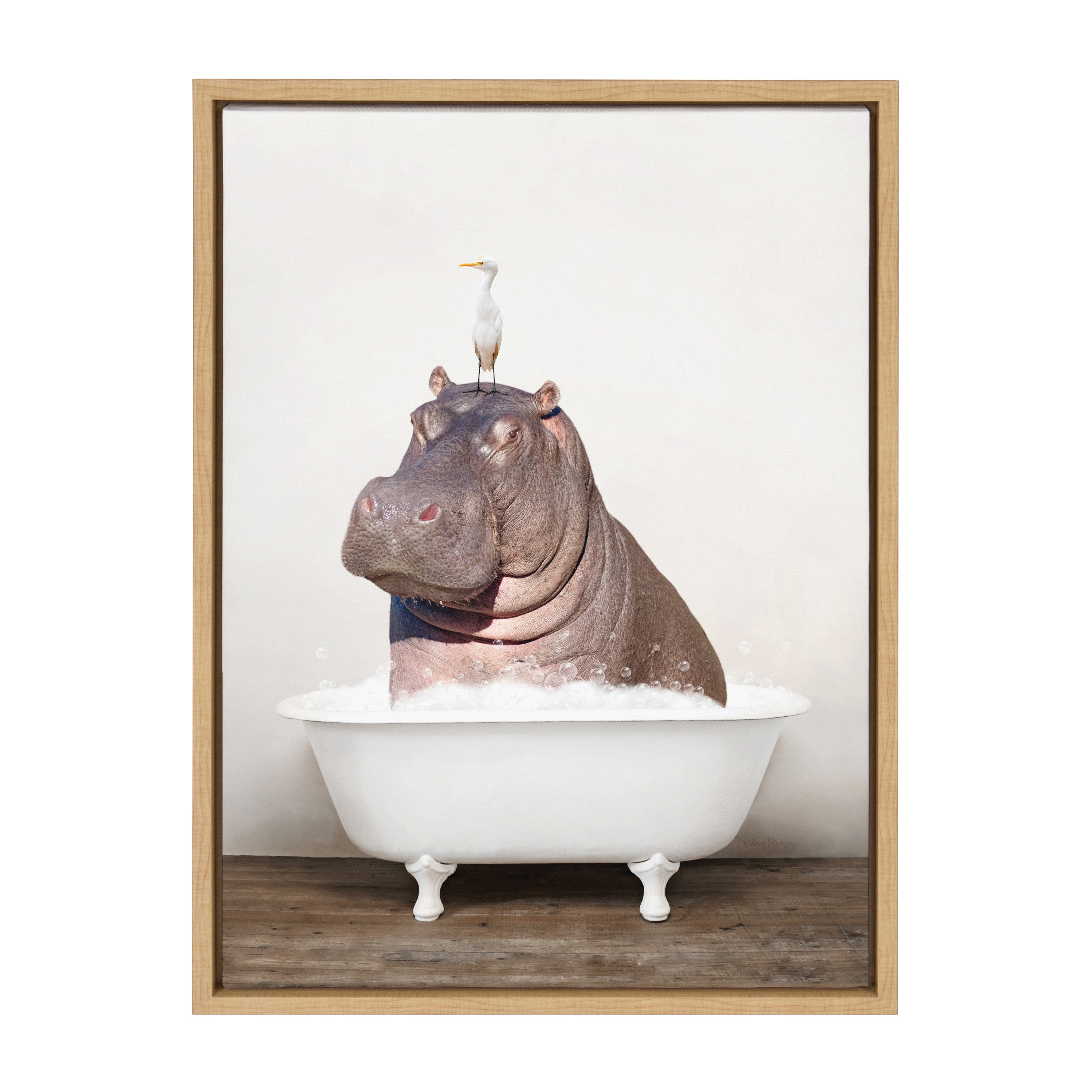 Sylvie Hippo and Bird in Rustic Bath Framed Canvas by kateandlaurel - product image 8 for Resin Society