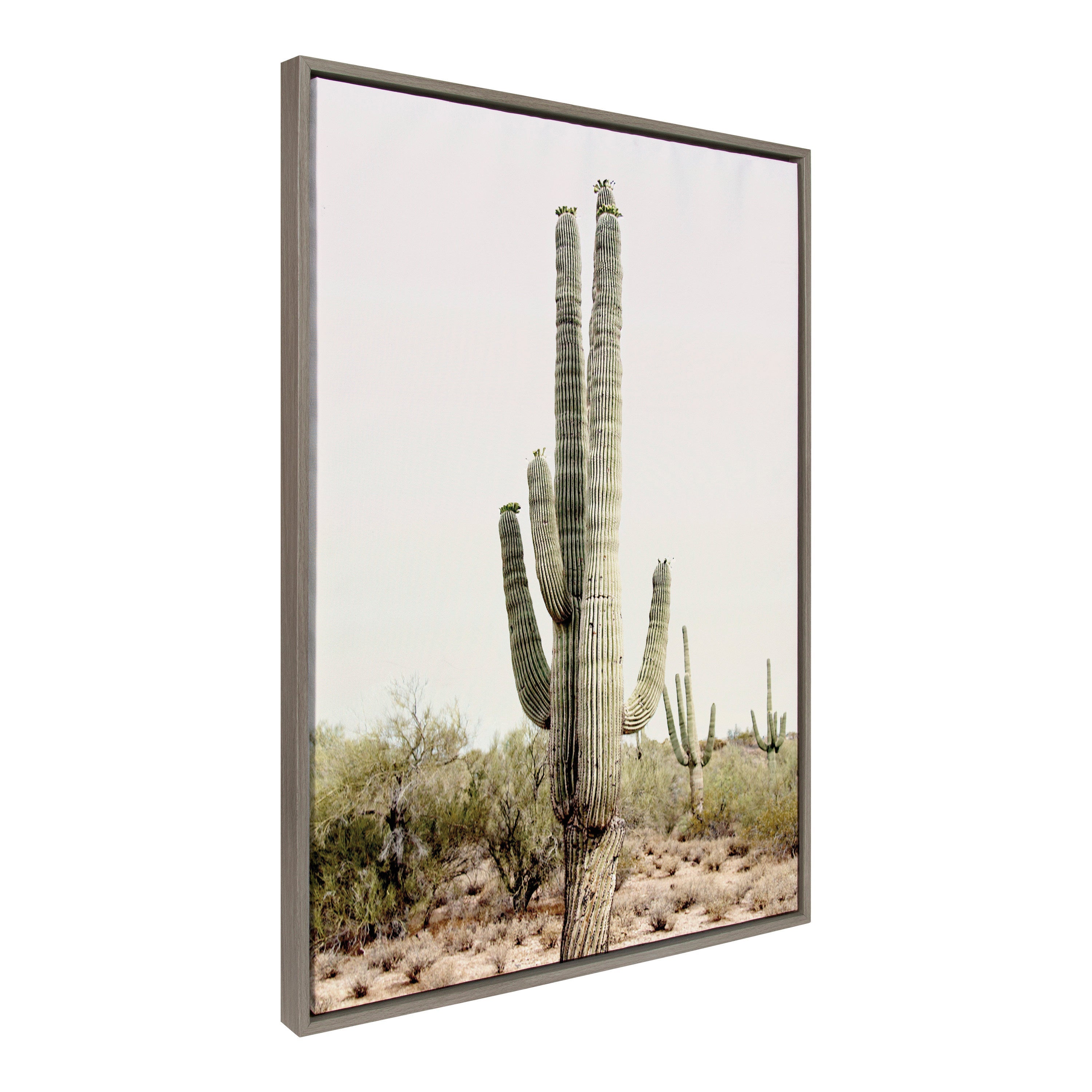 Sylvie Sunrise Cactus Framed Canvas by Amy Peterson Art Studio