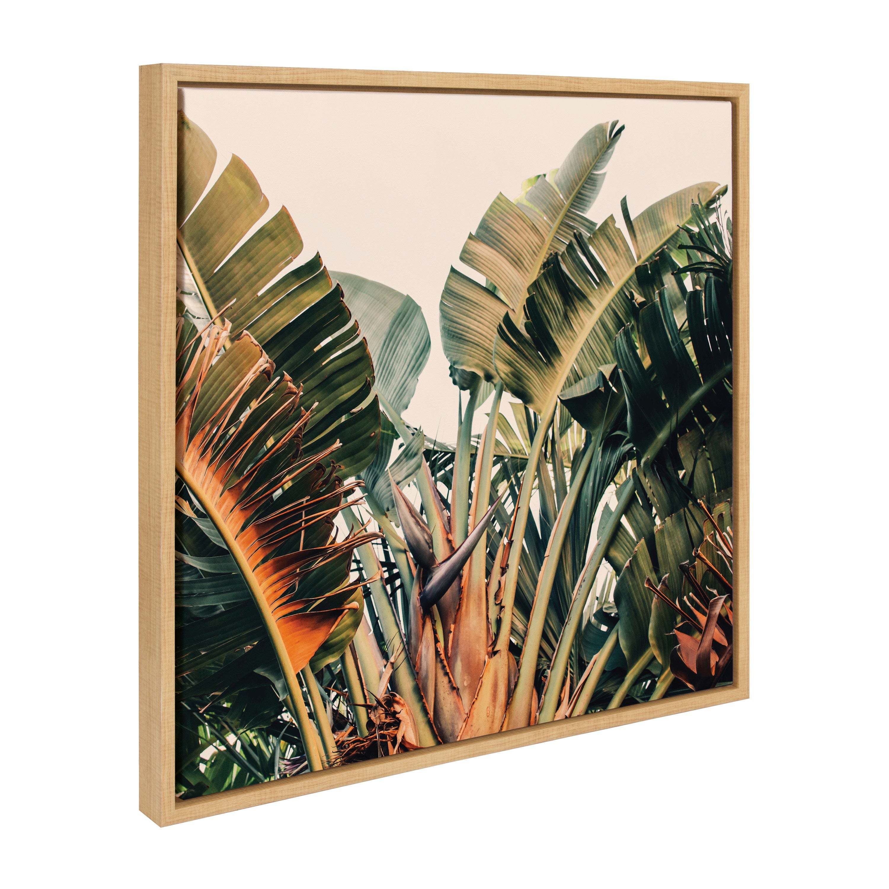 Sylvie Hue 2 Framed Canvas by Alicia Bock