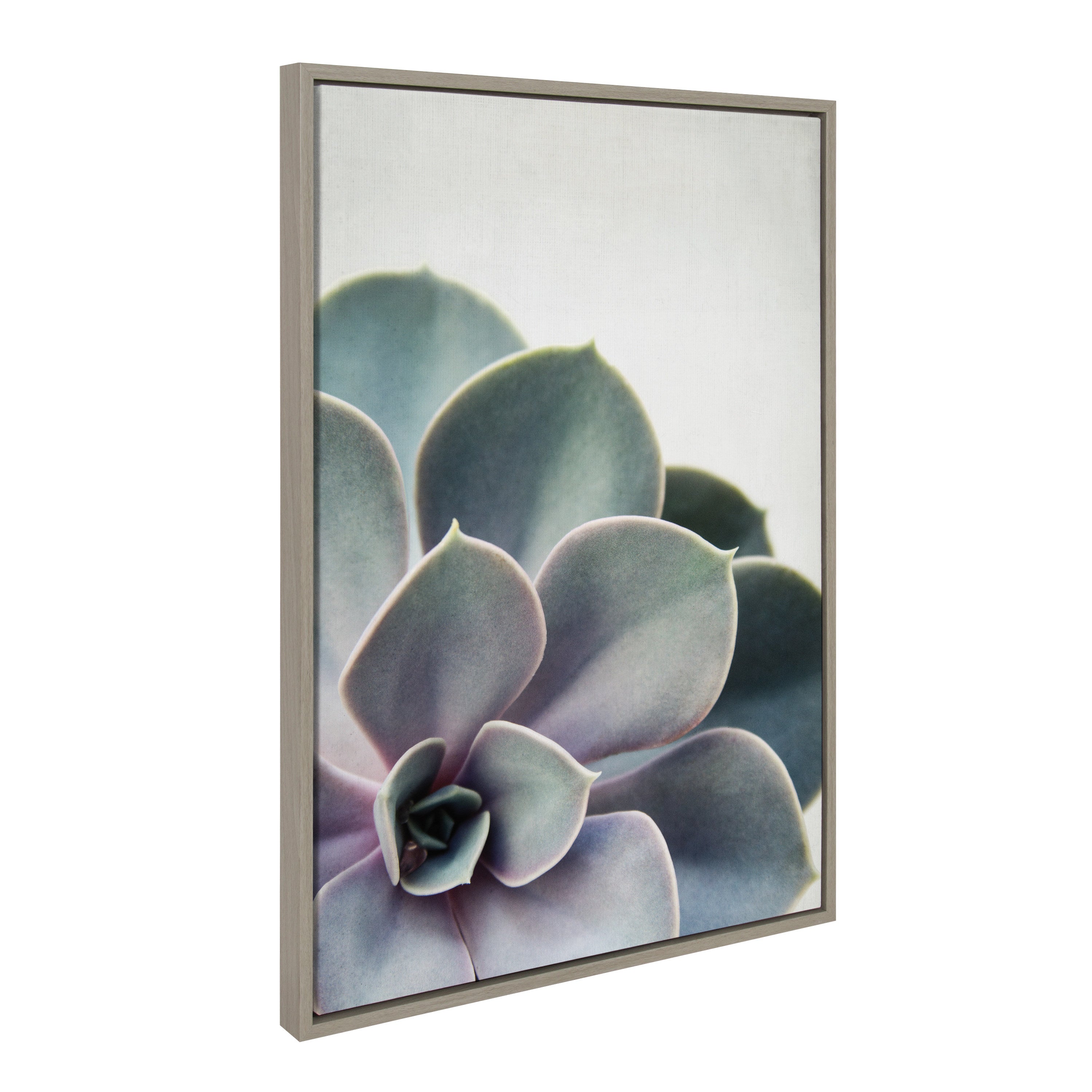 Sylvie Succulent 5 Framed Canvas by F2 Images by kateandlaurel - product image 19 for Resin Society