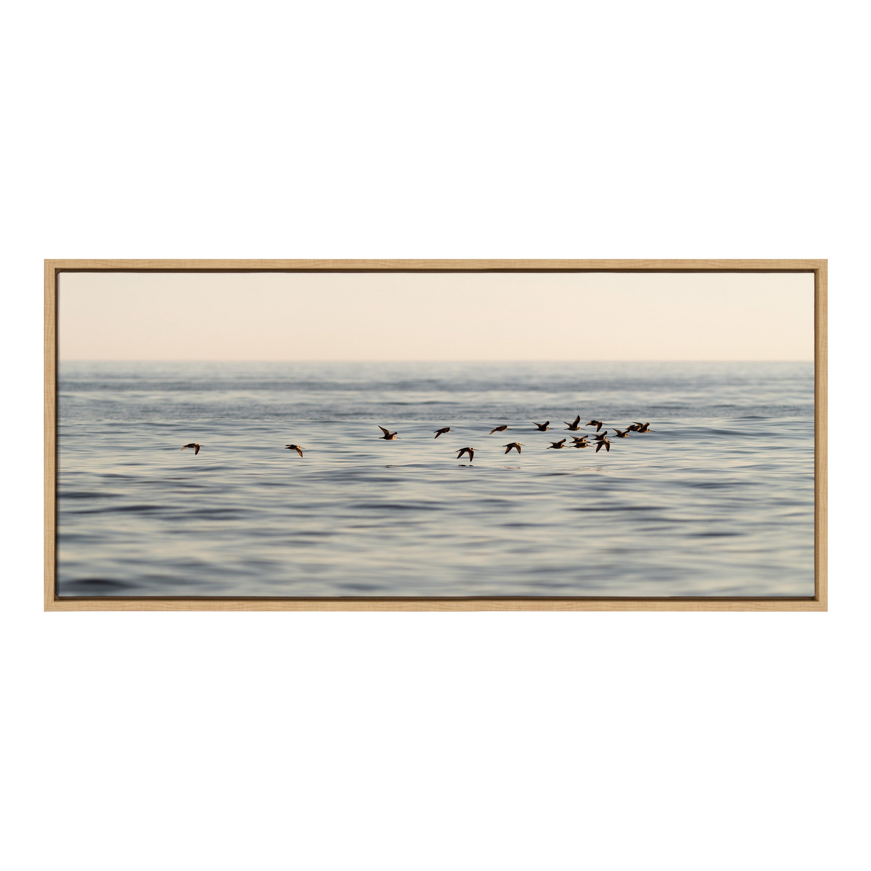 Sylvie Birds of a Feather Framed Canvas by kateandlaurel - product image 2 for Resin Society