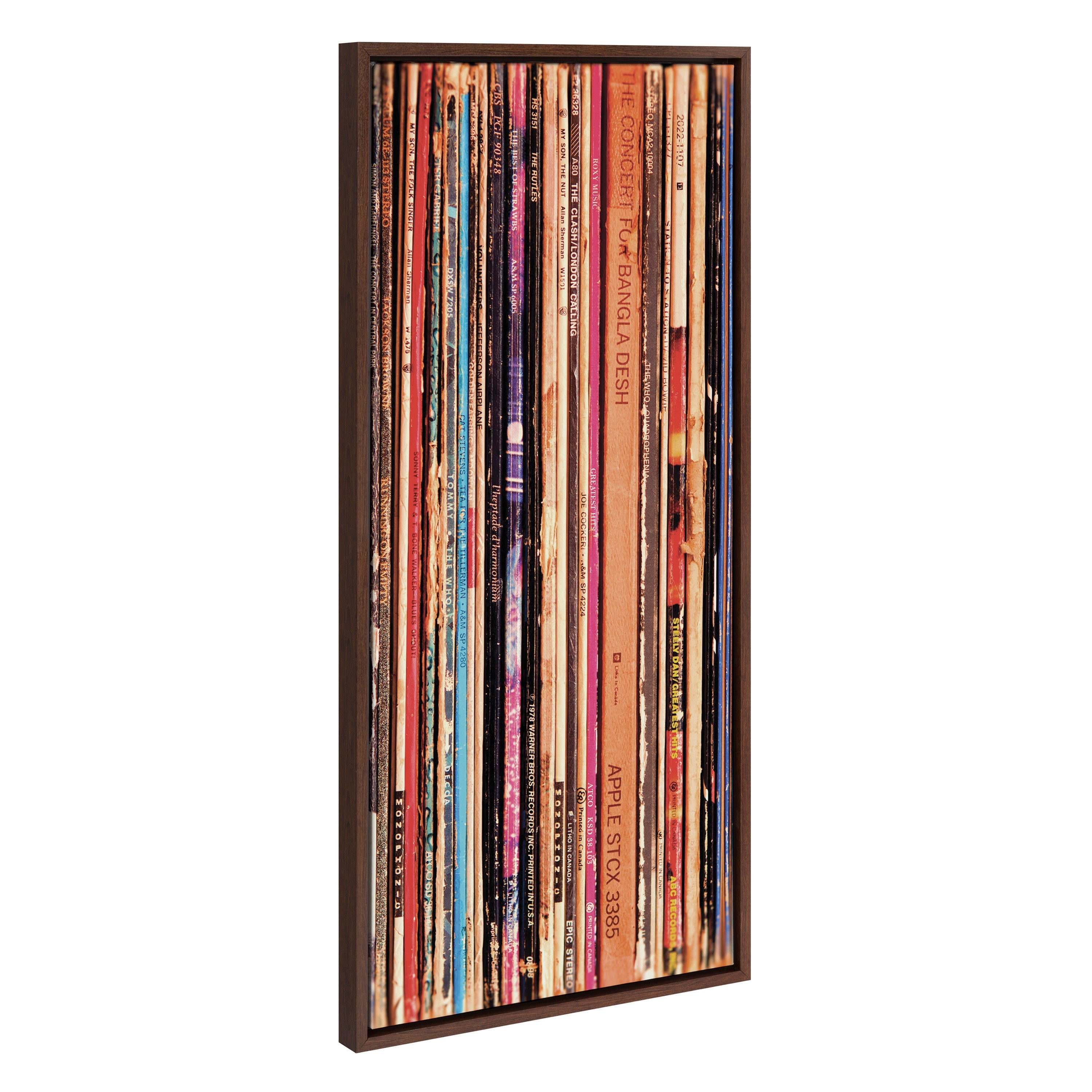 Sylvie Records Framed Canvas by Robert Cadloff of Bomobob by kateandlaurel - main product image for Resin Society