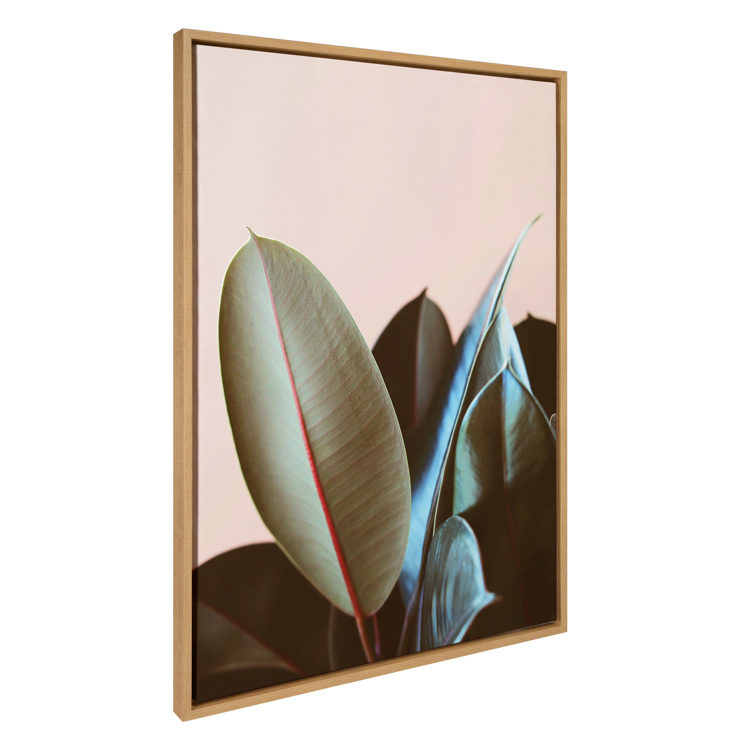 Sylvie Ficus Elastica Framed Canvas by Alicia Bock