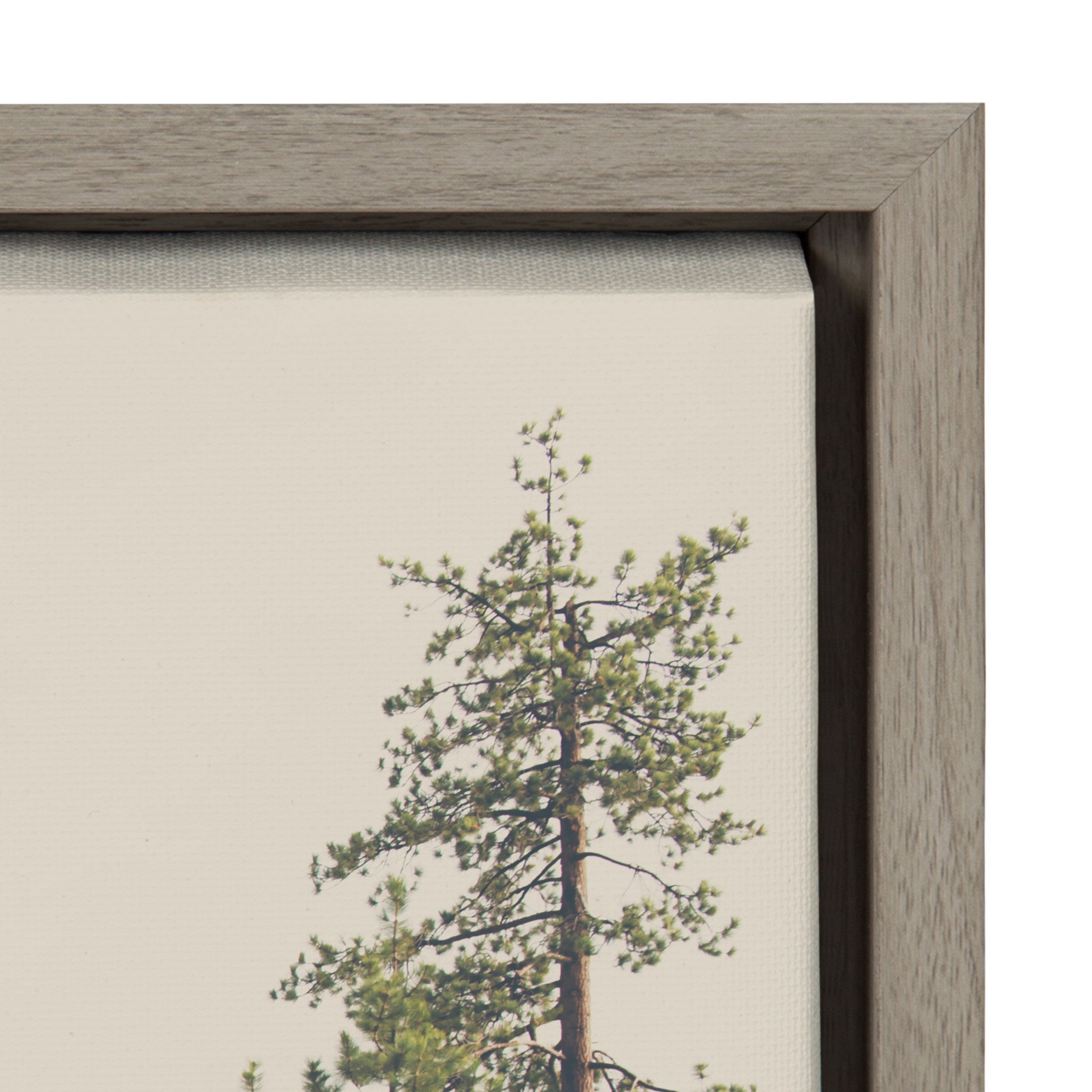 Sylvie Lake Tahoe California Mountain Sand Harbor Framed Canvas by kateandlaurel - product image 3 for Resin Society