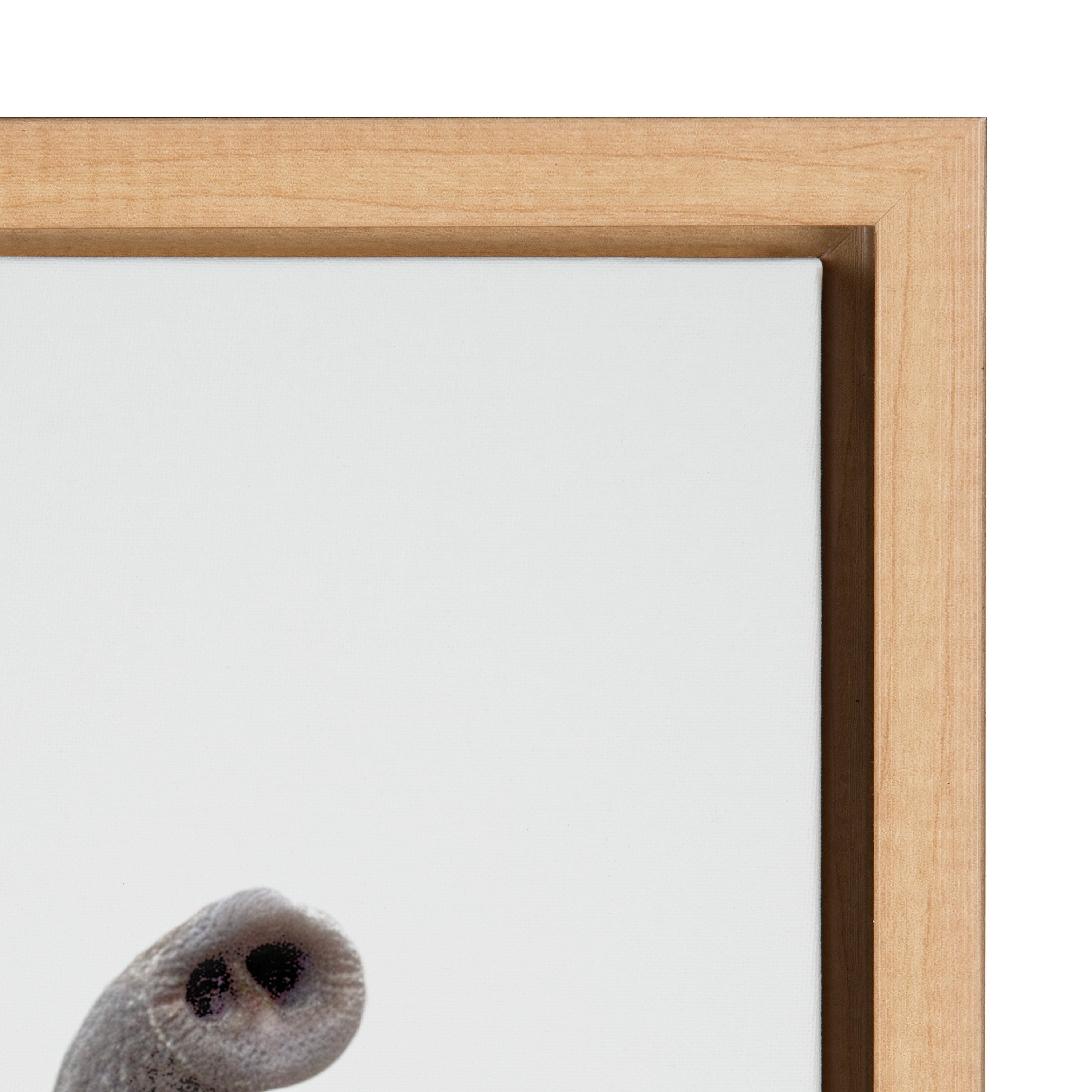 Sylvie Young Elephant Framed Canvas by Amy Peterson by kateandlaurel - product image 3 for Resin Society