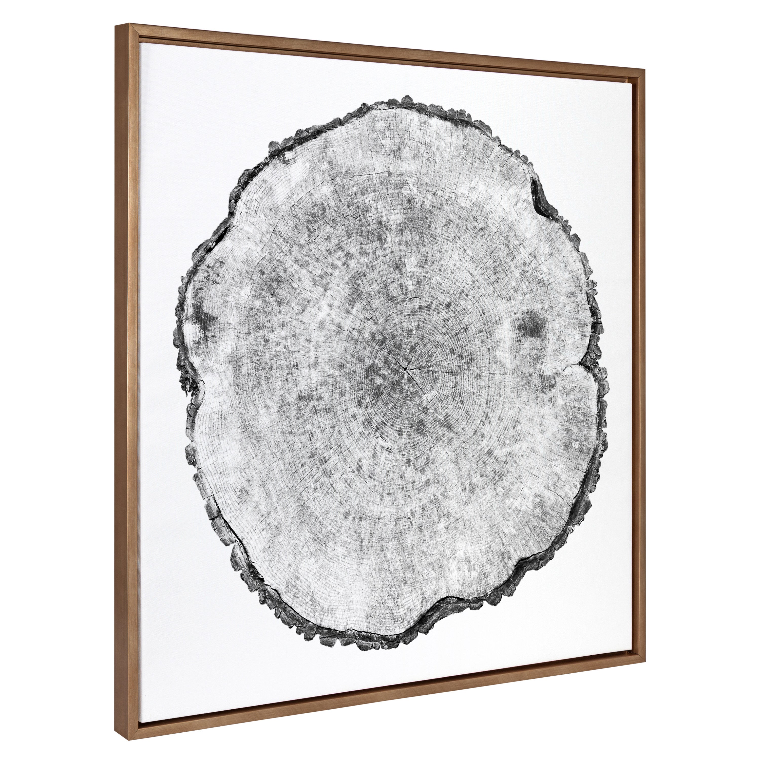 Sylvie Tree Rings Framed Canvas by kateandlaurel - main product image for Resin Society
