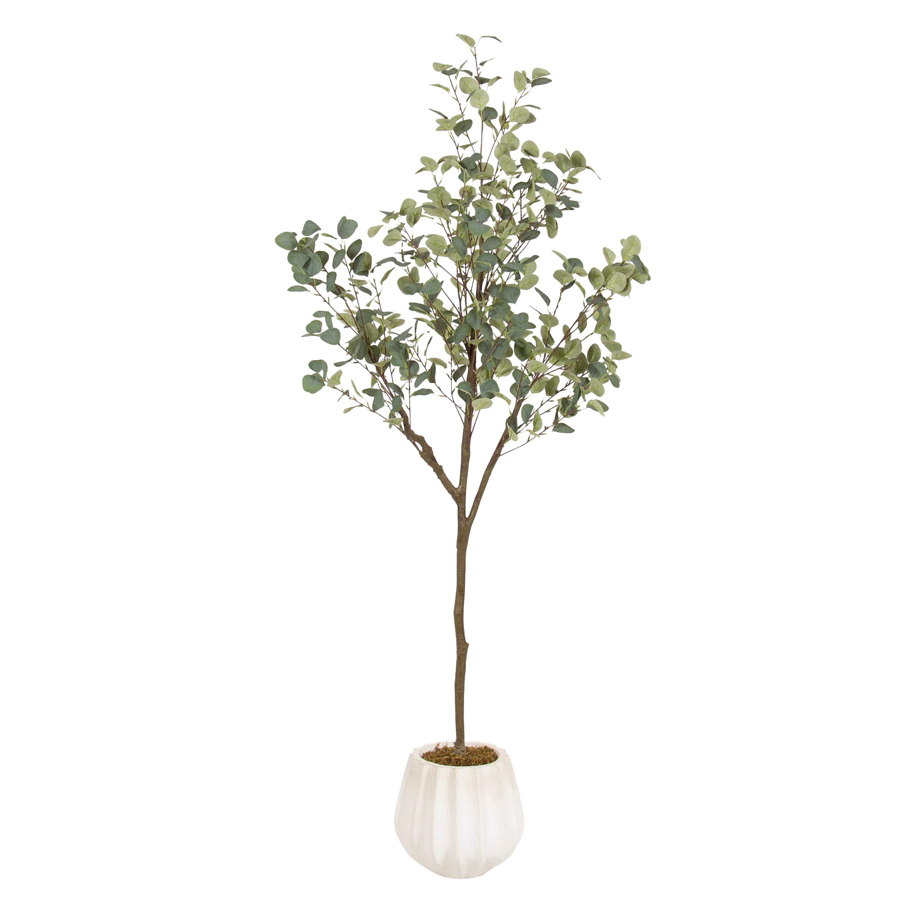 Eudora Faux Eucalyptus Tree - Kate and Laurel