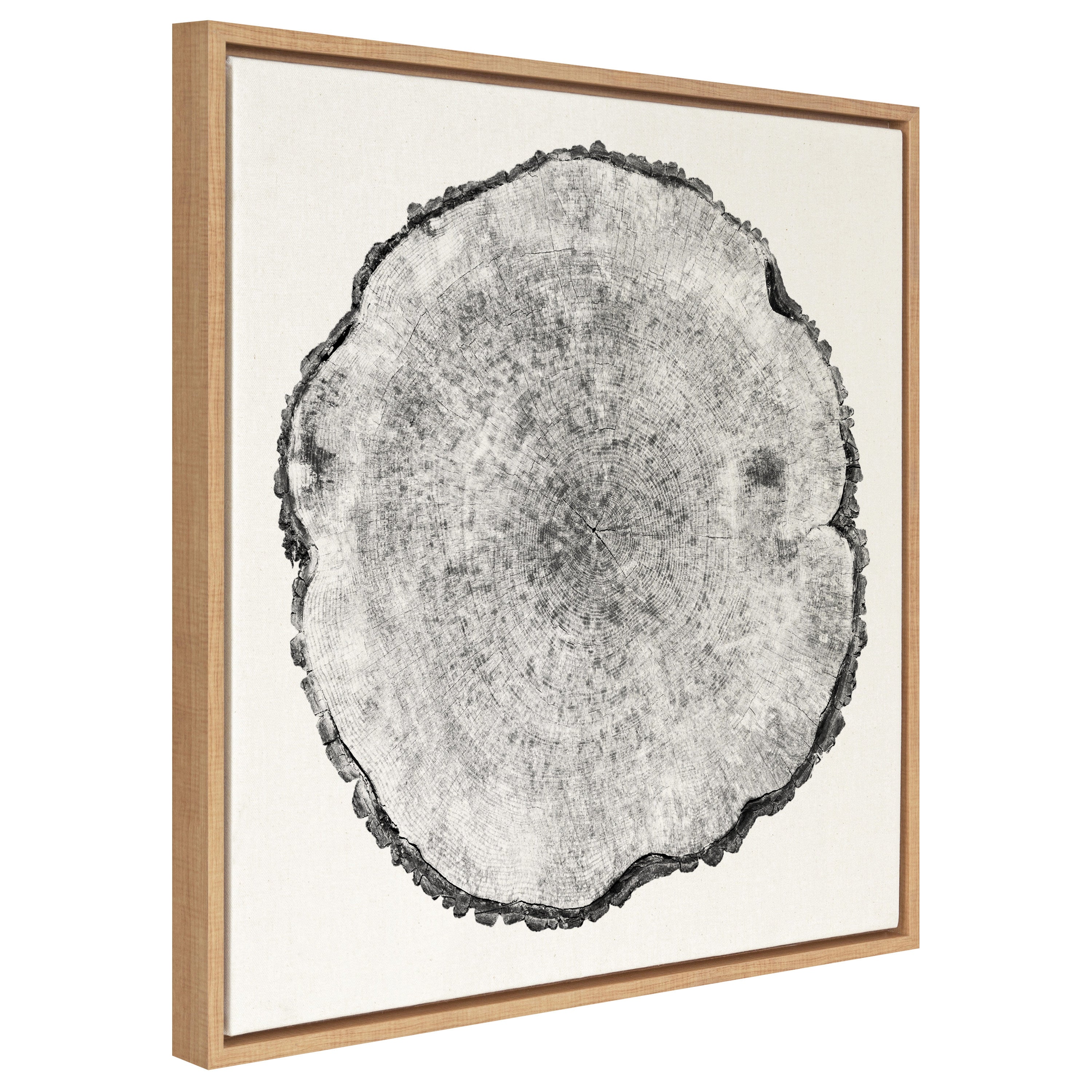 Sylvie Tree Rings Linen Framed Canvas by kateandlaurel - product image 12 for Resin Society