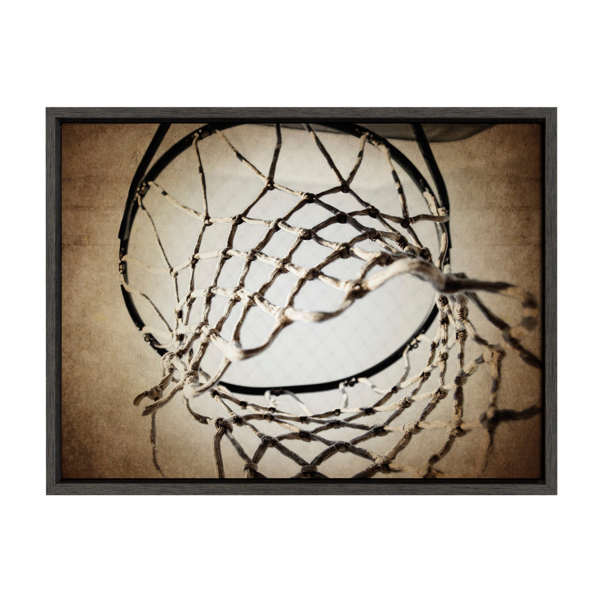 Sylvie Basketball Net Framed Canvas Wall Art by kateandlaurel - main product image for Resin Society