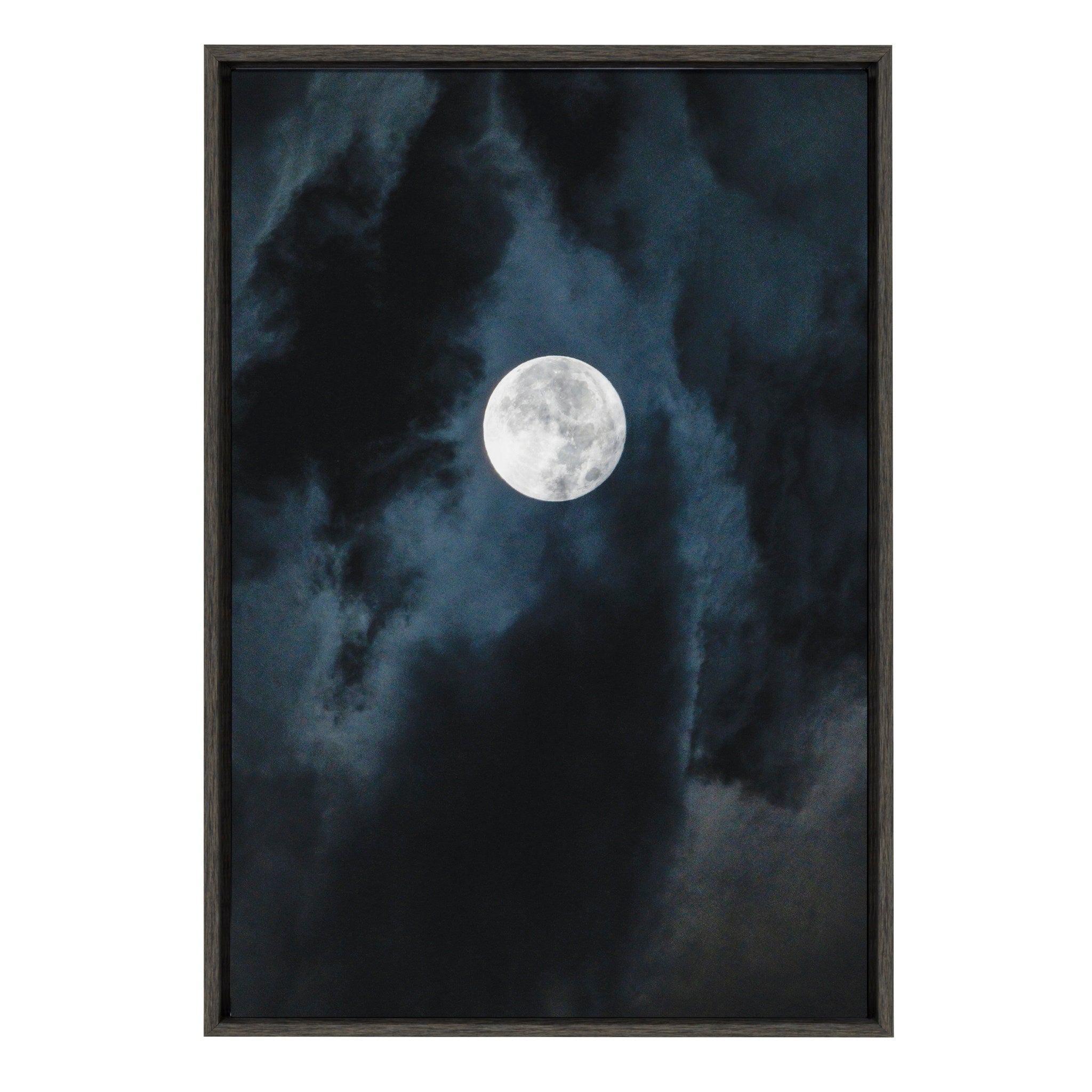 Sylvie Driftless Moon Framed Canvas by Pete Olsen