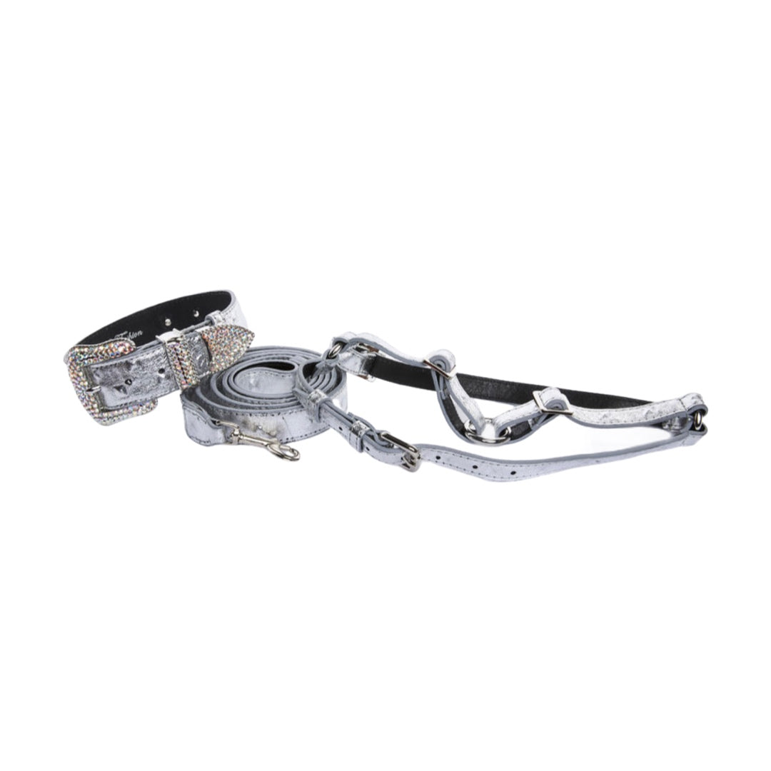 Silver studded Italian leather collar, leash, and harness set displayed on wooden surface