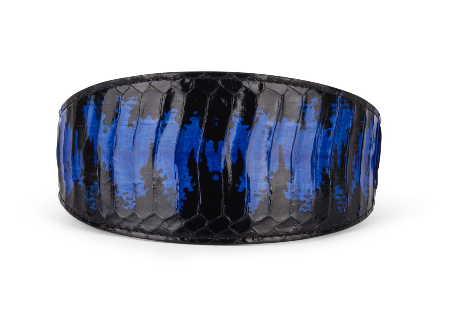 Black and Royal Blue Snake Wide Style Collar displayed on a light surface