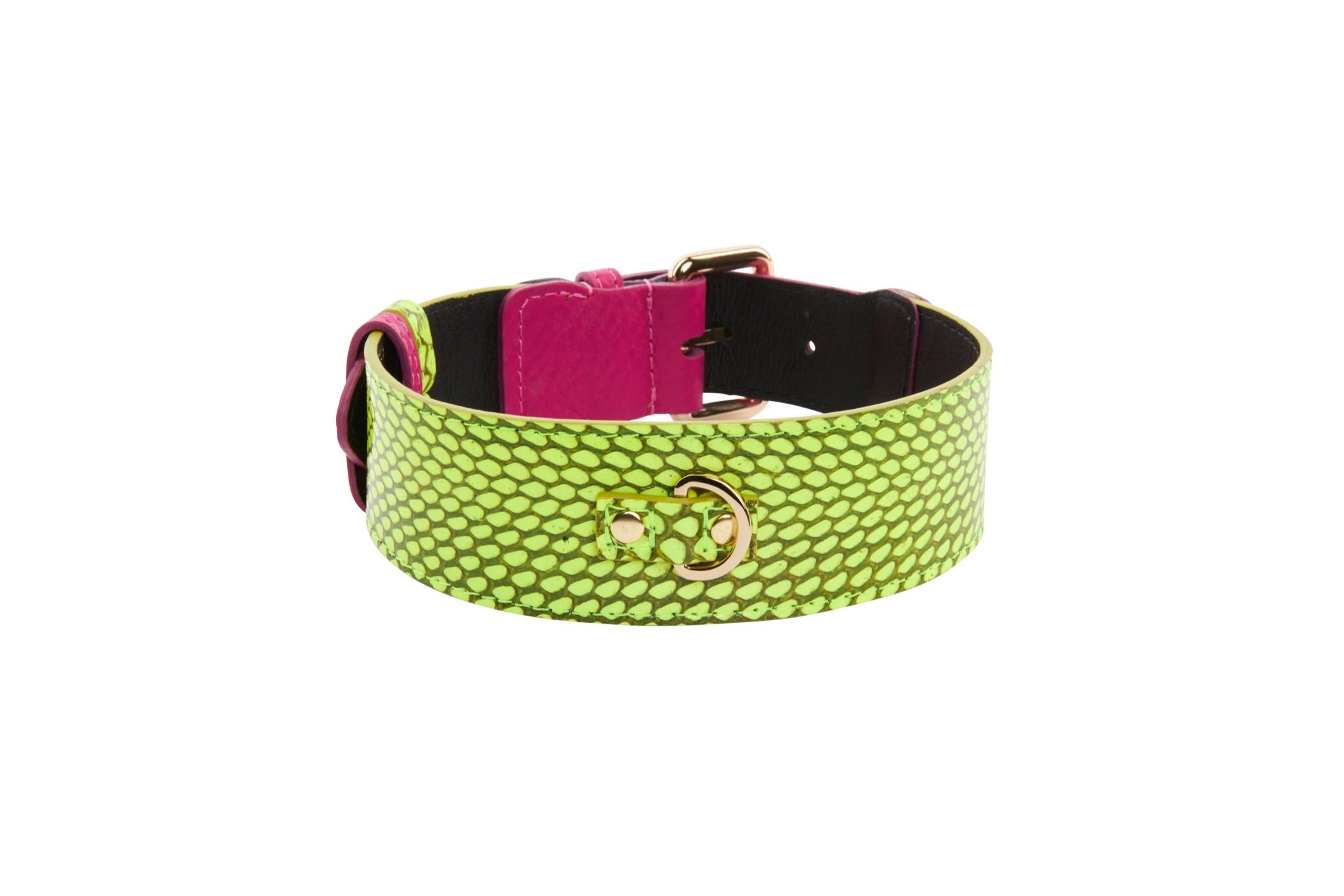 Neon Green Snake With Fuchsia Pink Italian Leather With Gold Classic