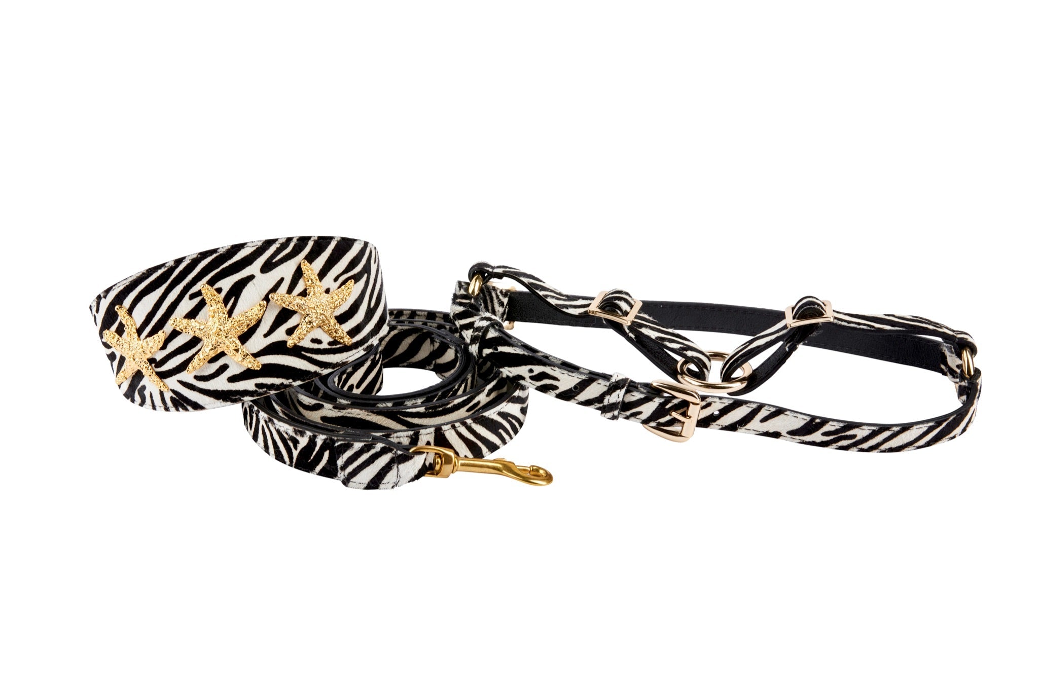 Zebra print dog collar, leash, and harness set with gold starfish detailing displayed on neutral background