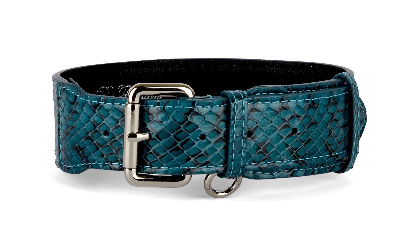 Teal and Black Snake Classic Collar with silver buckle