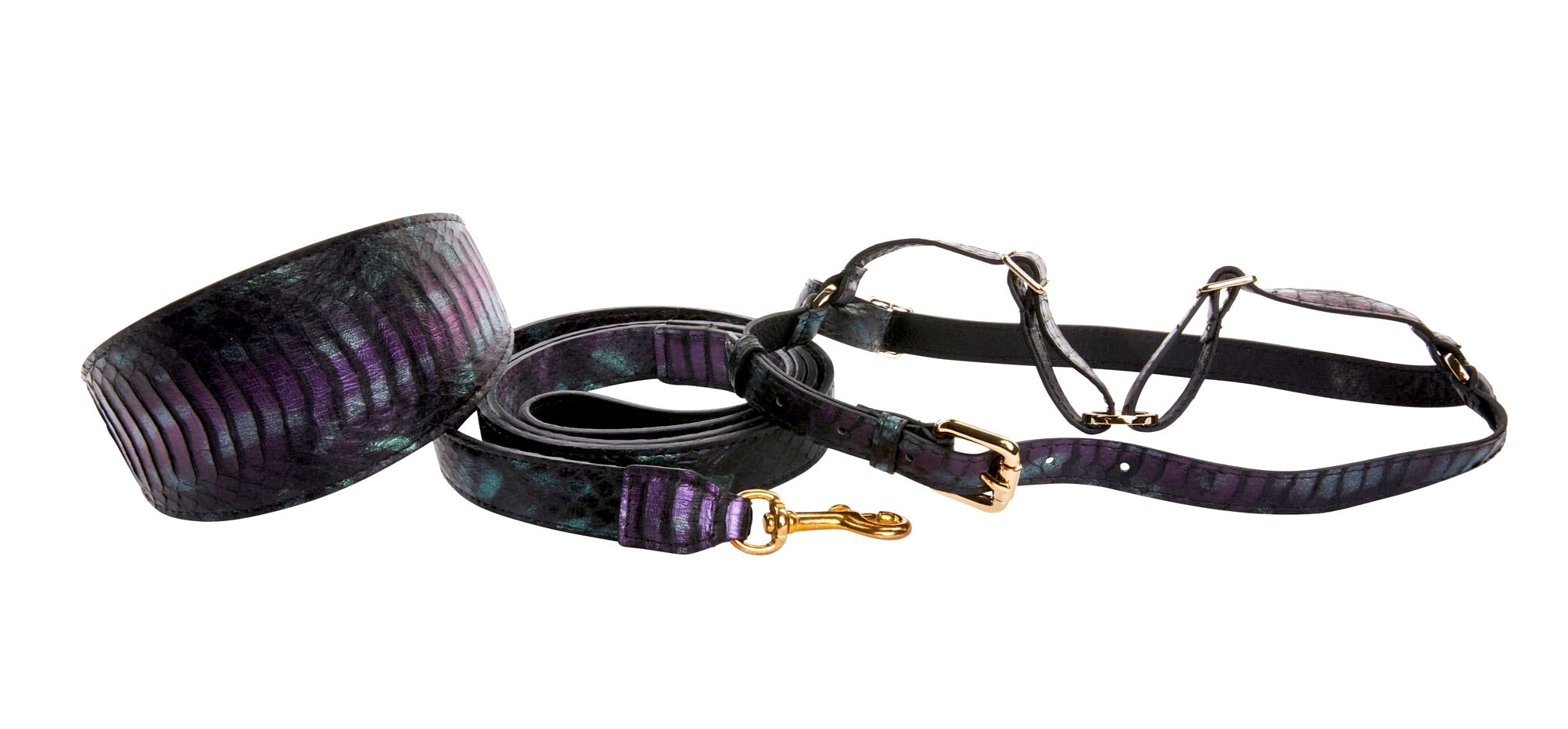 Black, green, and purple snake patterned wide style collar, leash, and harness set arranged on a neutral background