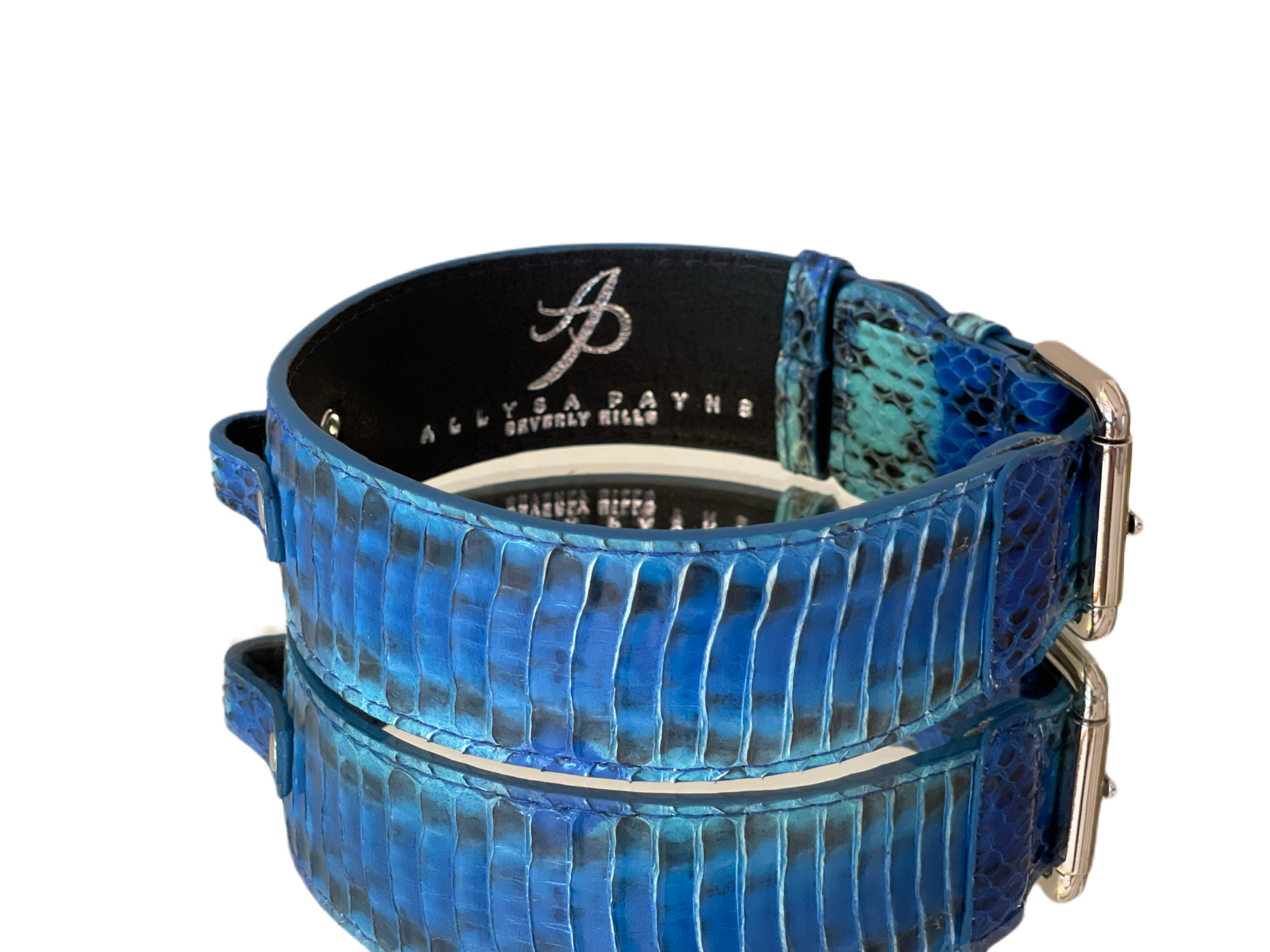 Luxury Pet Fashion Blue/Turquoise Snakeskin Collar with Classic Silver Hardware