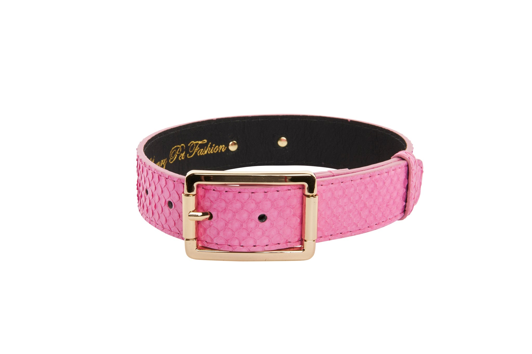 Luxury Pet Fashion Neon Pink Snake Collar With Modern Gold Hardware