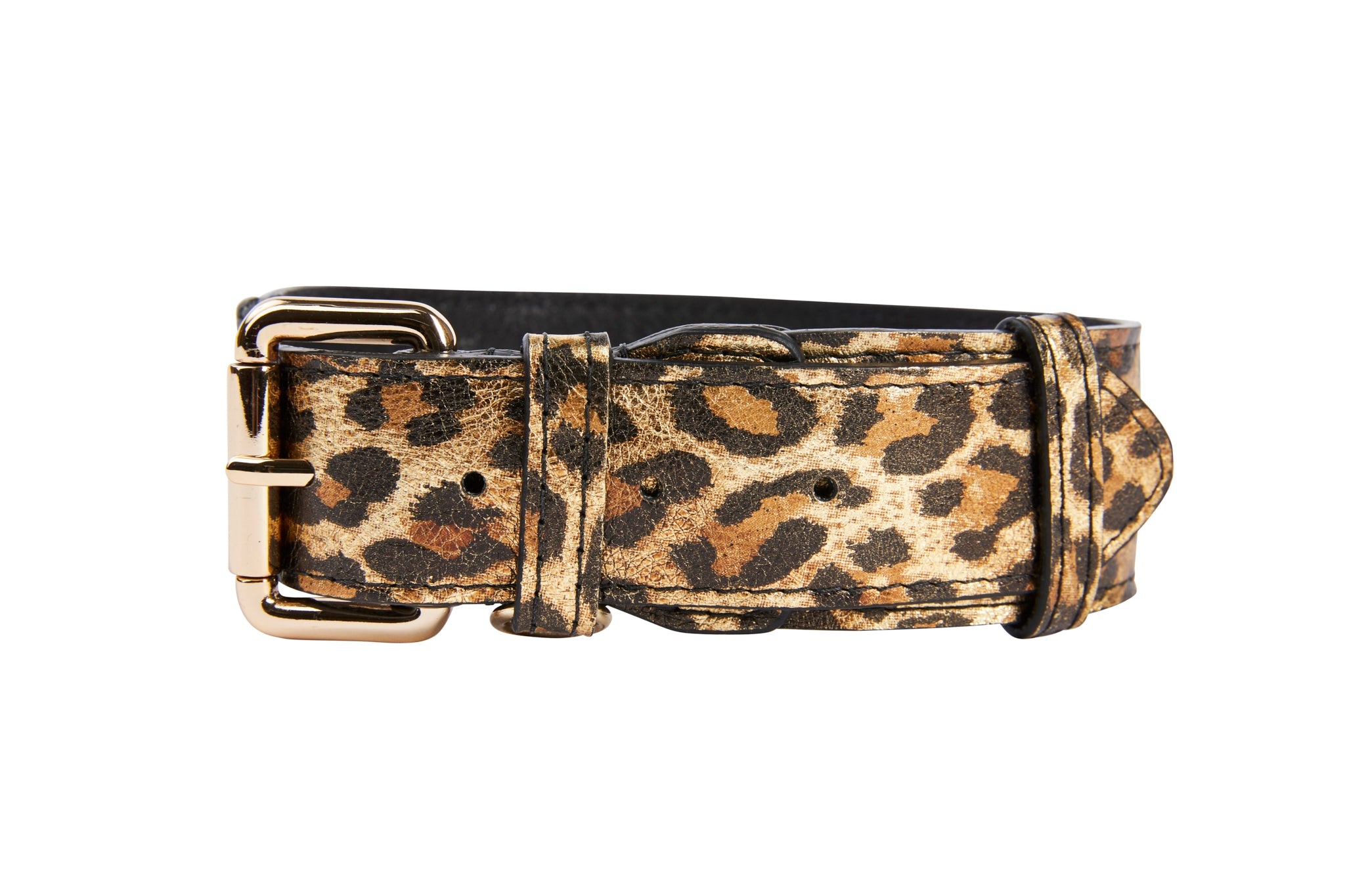 Leopard Print Italian Leather Collar with Gold Classic Hardware displayed on a white background