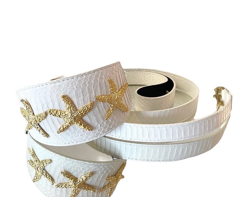 Luxury pet collar and leash set in matte white snakeskin, wide collar style