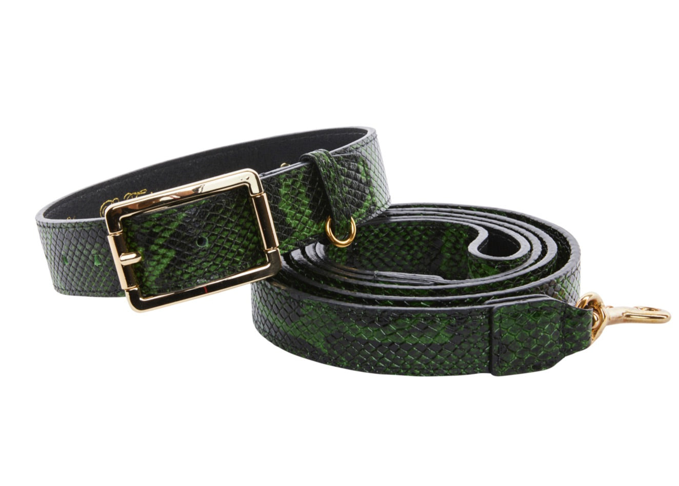 Green and black embossed python leather pet collar and leash with gold hardware by Allysa Payne Beverly Hills