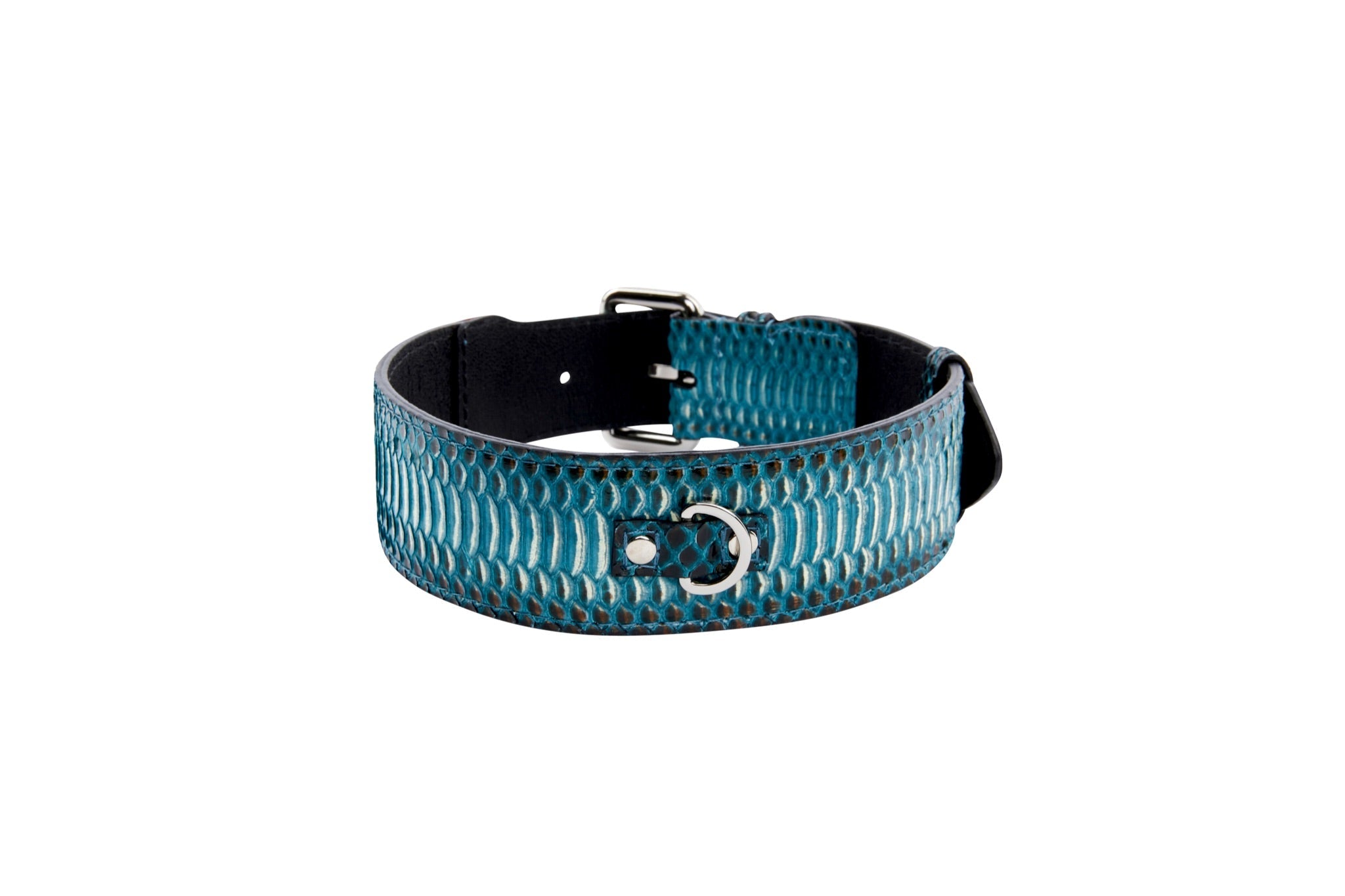Turquoise, Black Snake Classic Collar With Silver Classic Hardware by Allysa Payne Beverly Hills - product image 2 for Resin Society