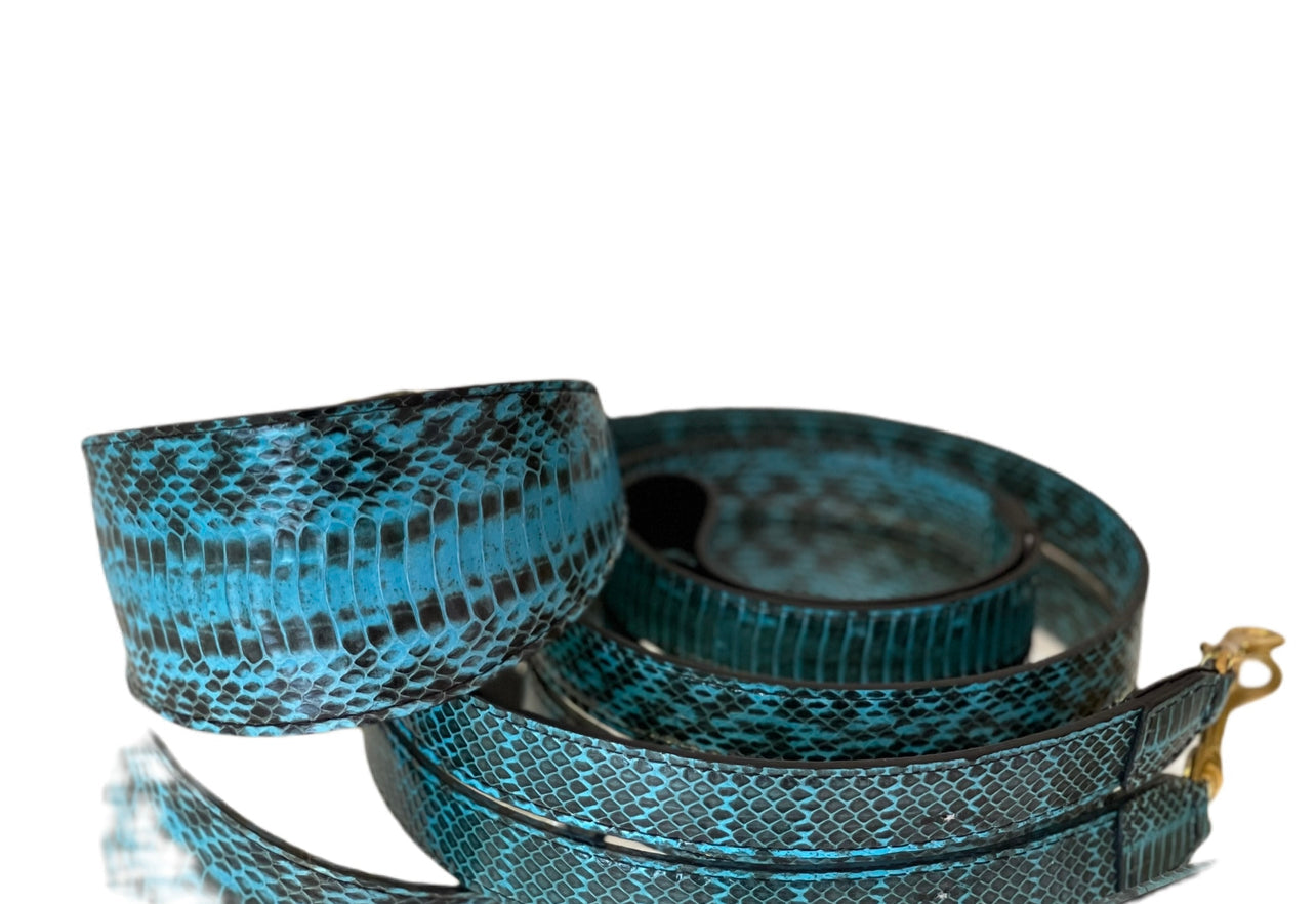 Turquoise and black snakeskin pet collar and leash set laid flat