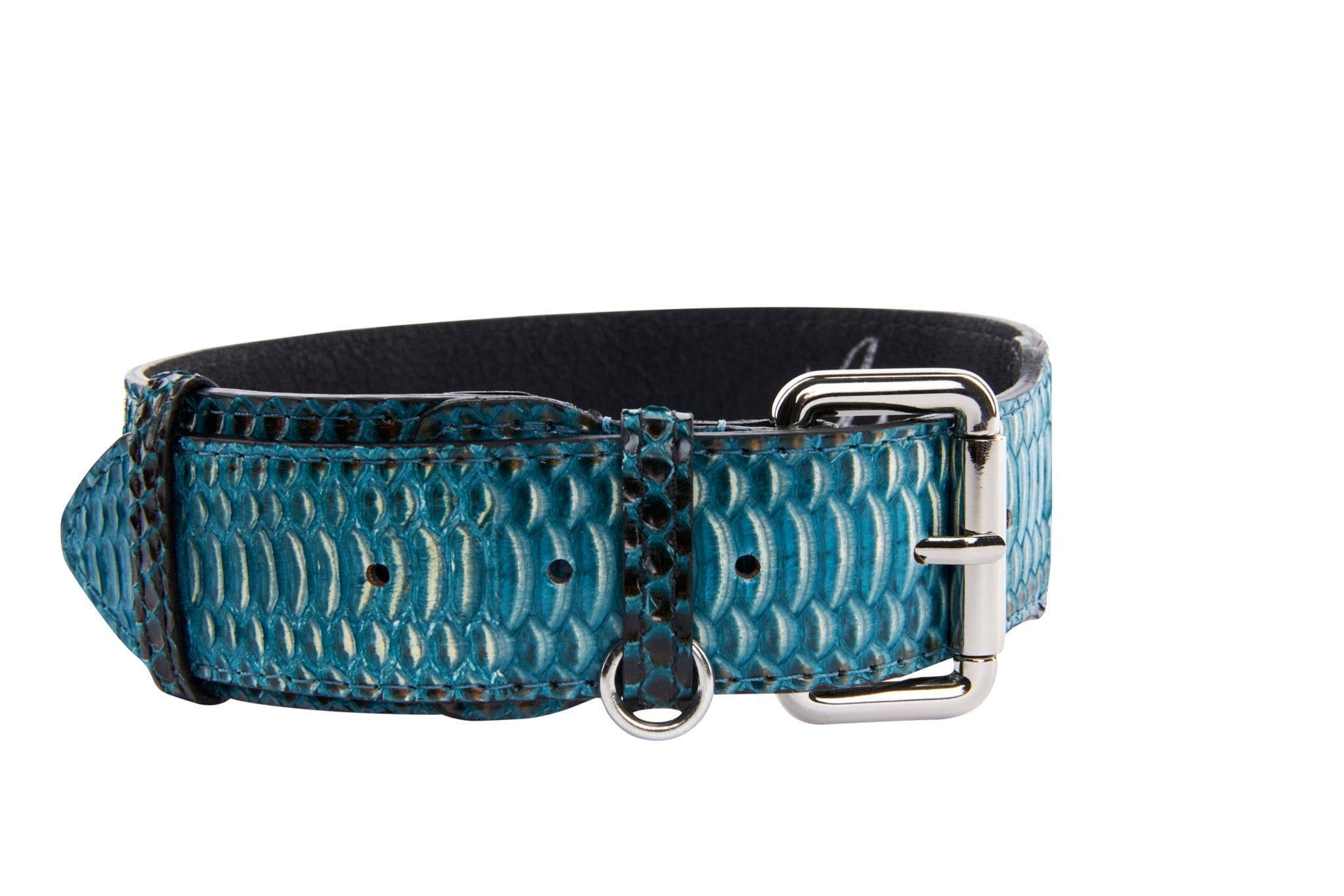 Turquoise, Black Snake Classic Collar With Silver Classic Hardware by Allysa Payne Beverly Hills - main product image for Resin Society