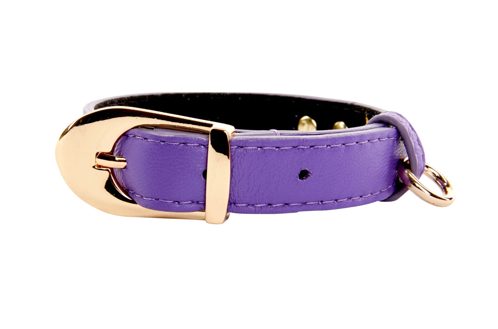 XS Purple Italian Leather dog collar displaying vintage inspired gold hardware on a white background