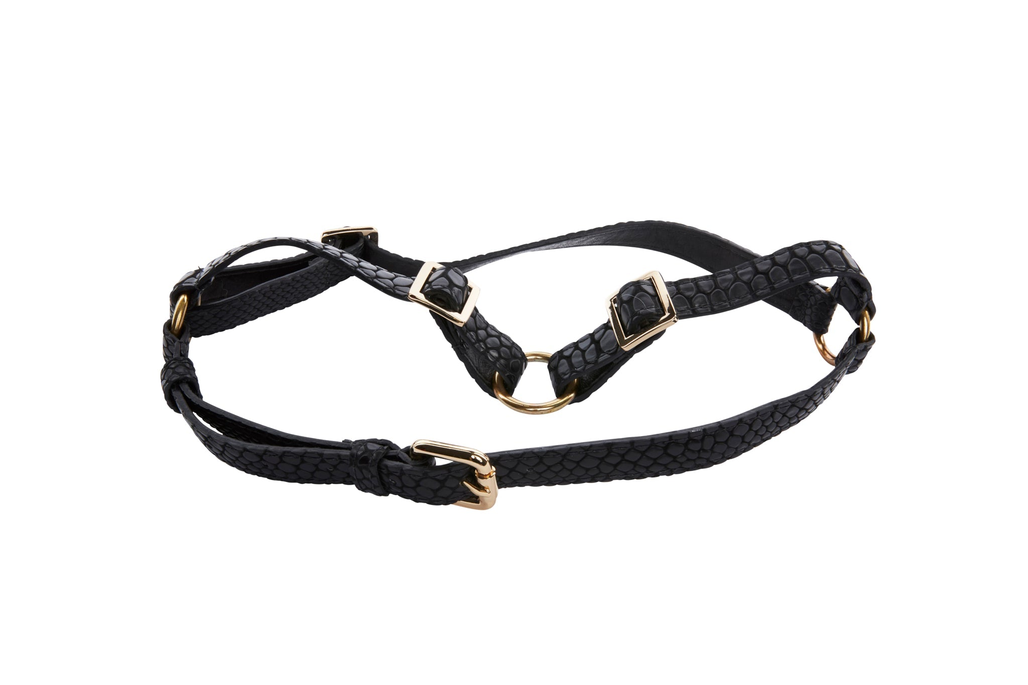 Black Embossed Snake Italian Leather Harness by Allysa Payne Beverly Hills - main product image for Resin Society