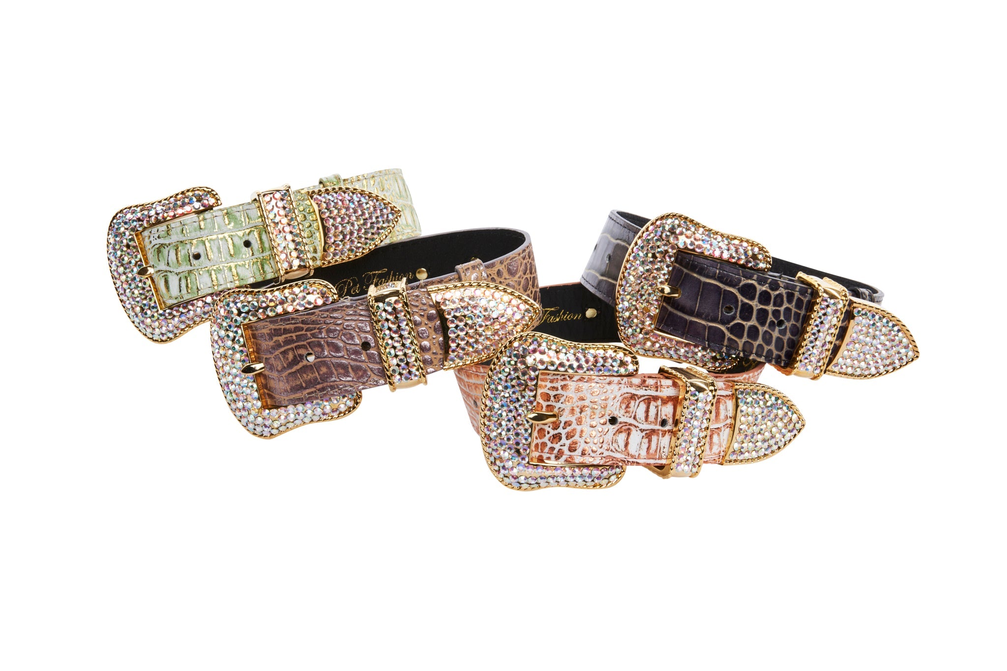 Embossed Croc Italian Leather/Swarovski Crystals Collars. Set Of 4 by Allysa Payne Beverly Hills - product image 6 for Resin Society