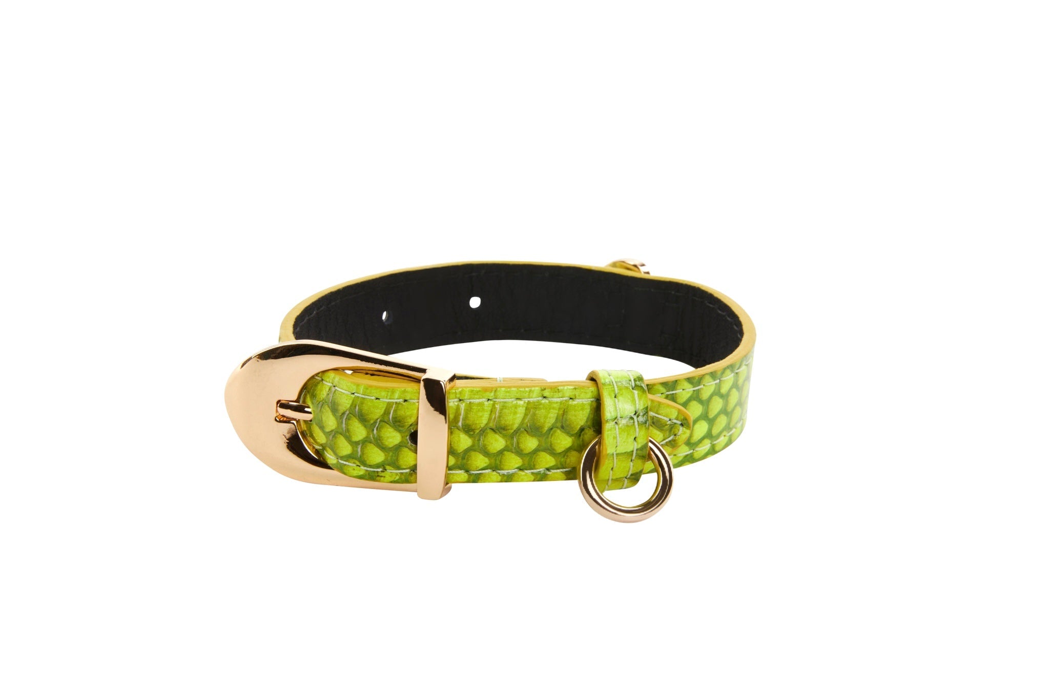 XS Light Neon Green Snake Collar with Gold Vintage Inspired Italian Hardware displayed on a neutral surface