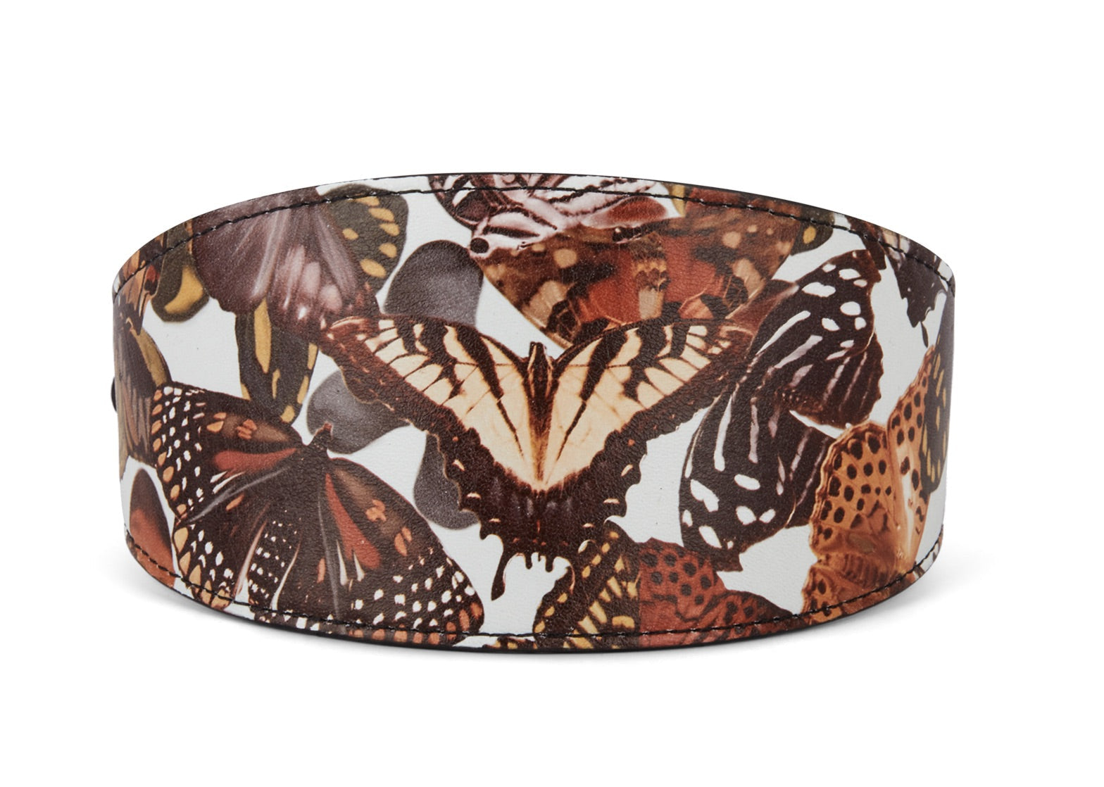 Butterfly Print Italian Leather 3” Wide Style Collar showing soft leather with delicate butterfly print