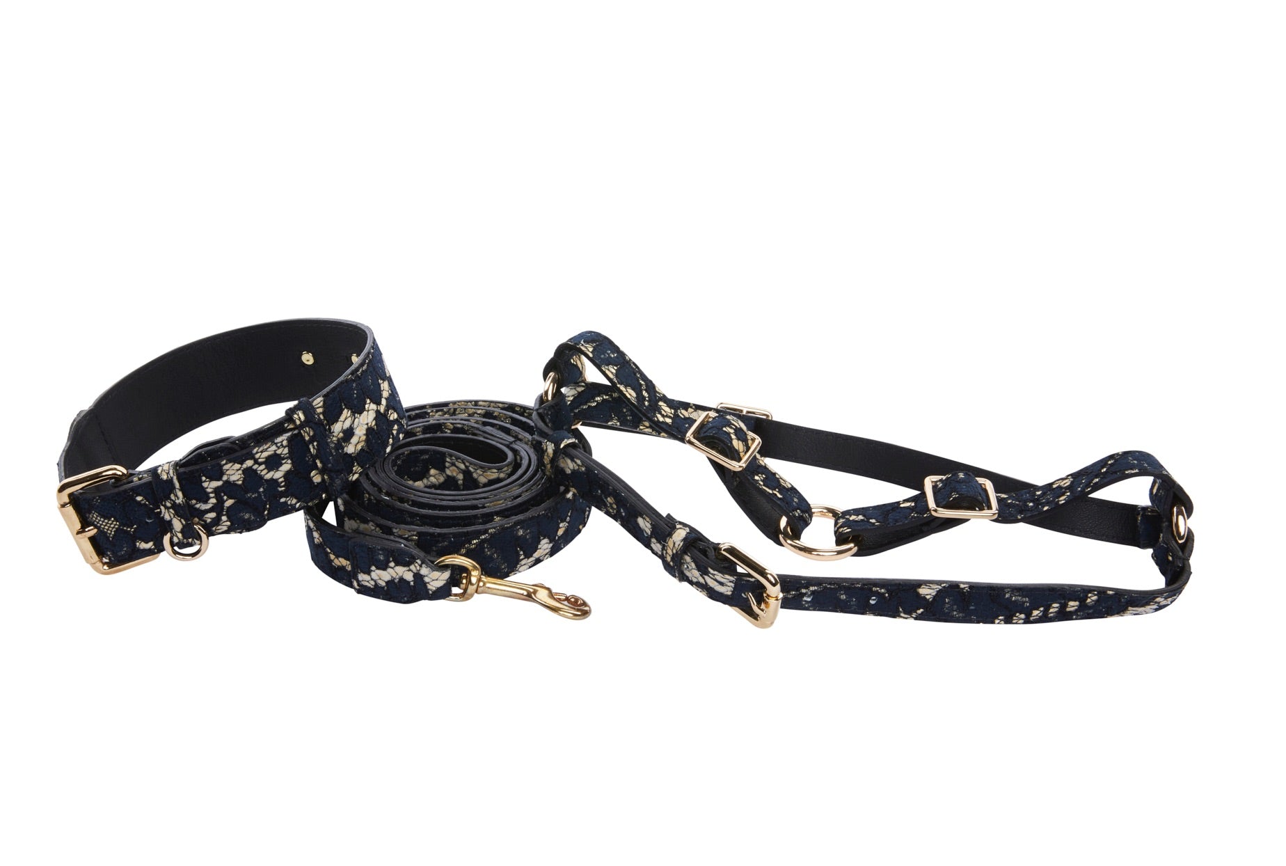 Dark Navy Lace On Gold Italian Leather Classic Collar