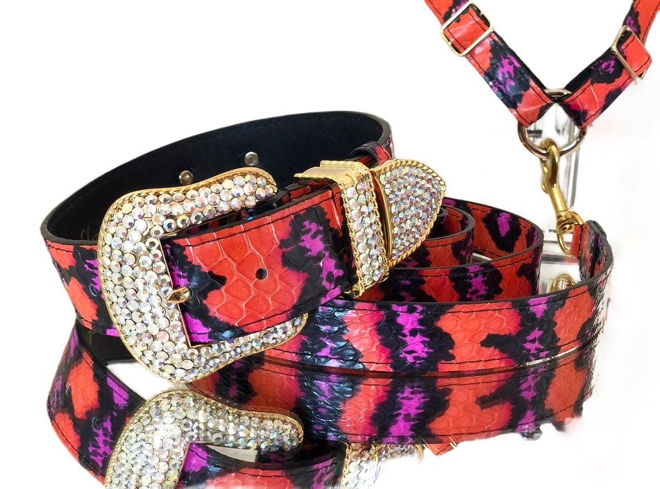 Luxury Pet Fashion- Orange by Allysa Payne Beverly Hills - main product image for Resin Society